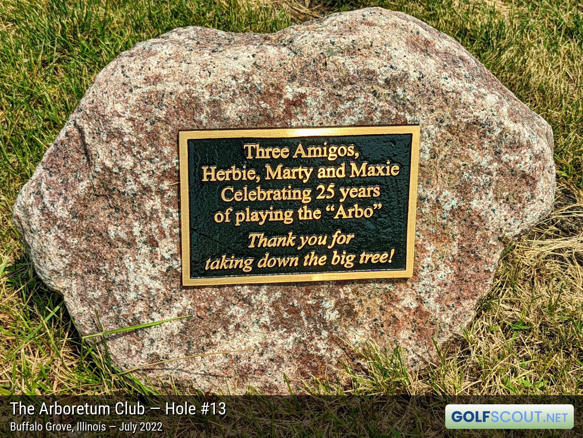 Photo of hole #13 at Arboretum Club in Buffalo Grove, Illinois. 