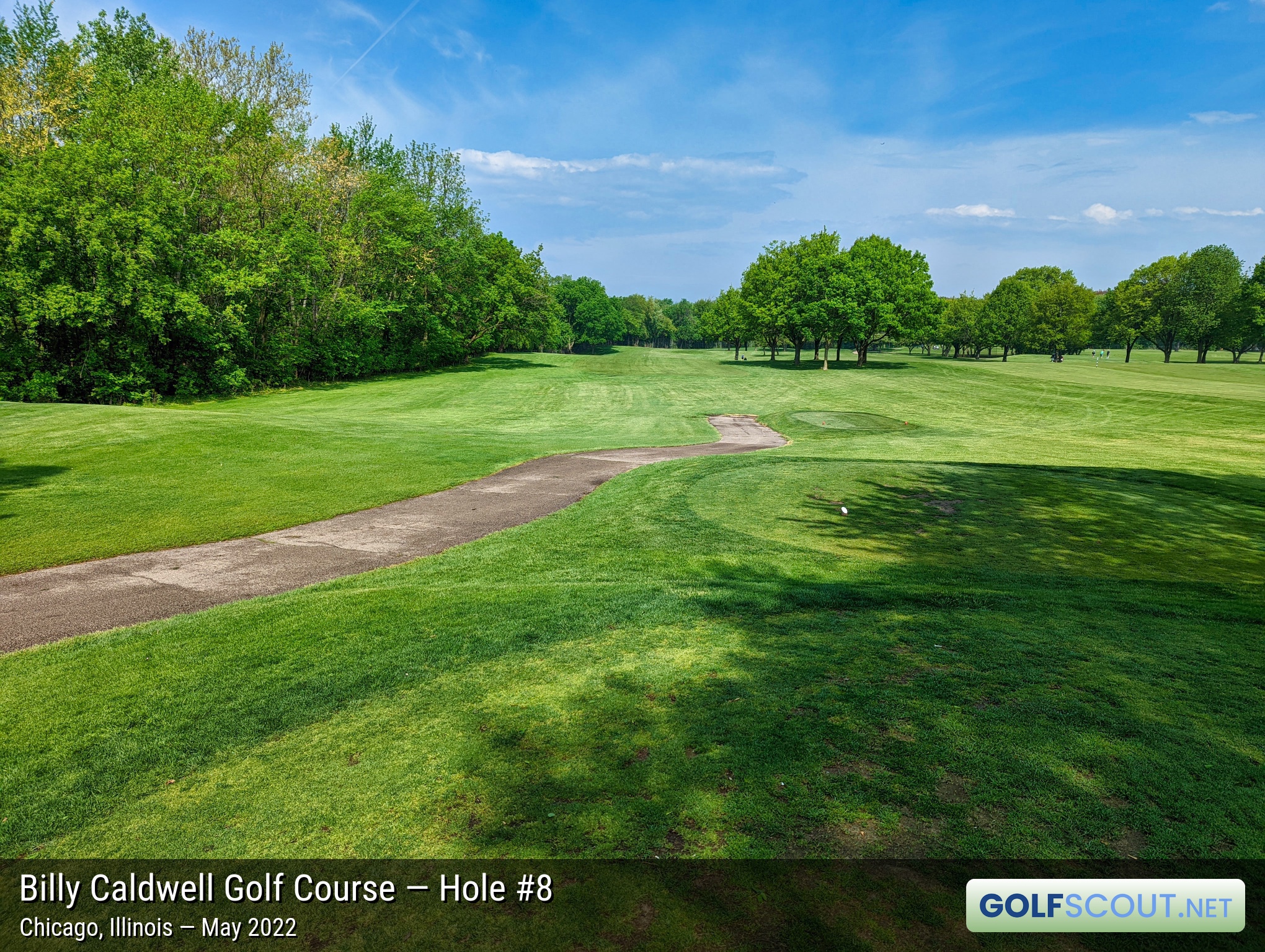 Photo of hole #8 at Billy Caldwell Golf Course in Chicago, Illinois. 