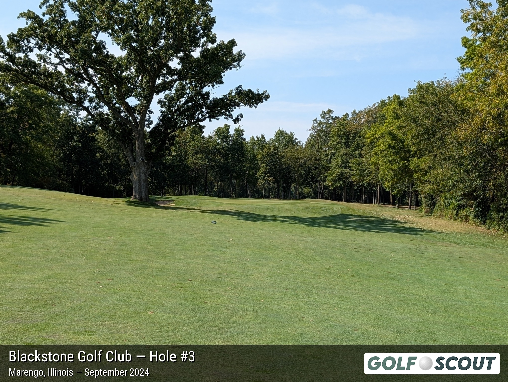 Hole 3 at Blackstone Golf Club