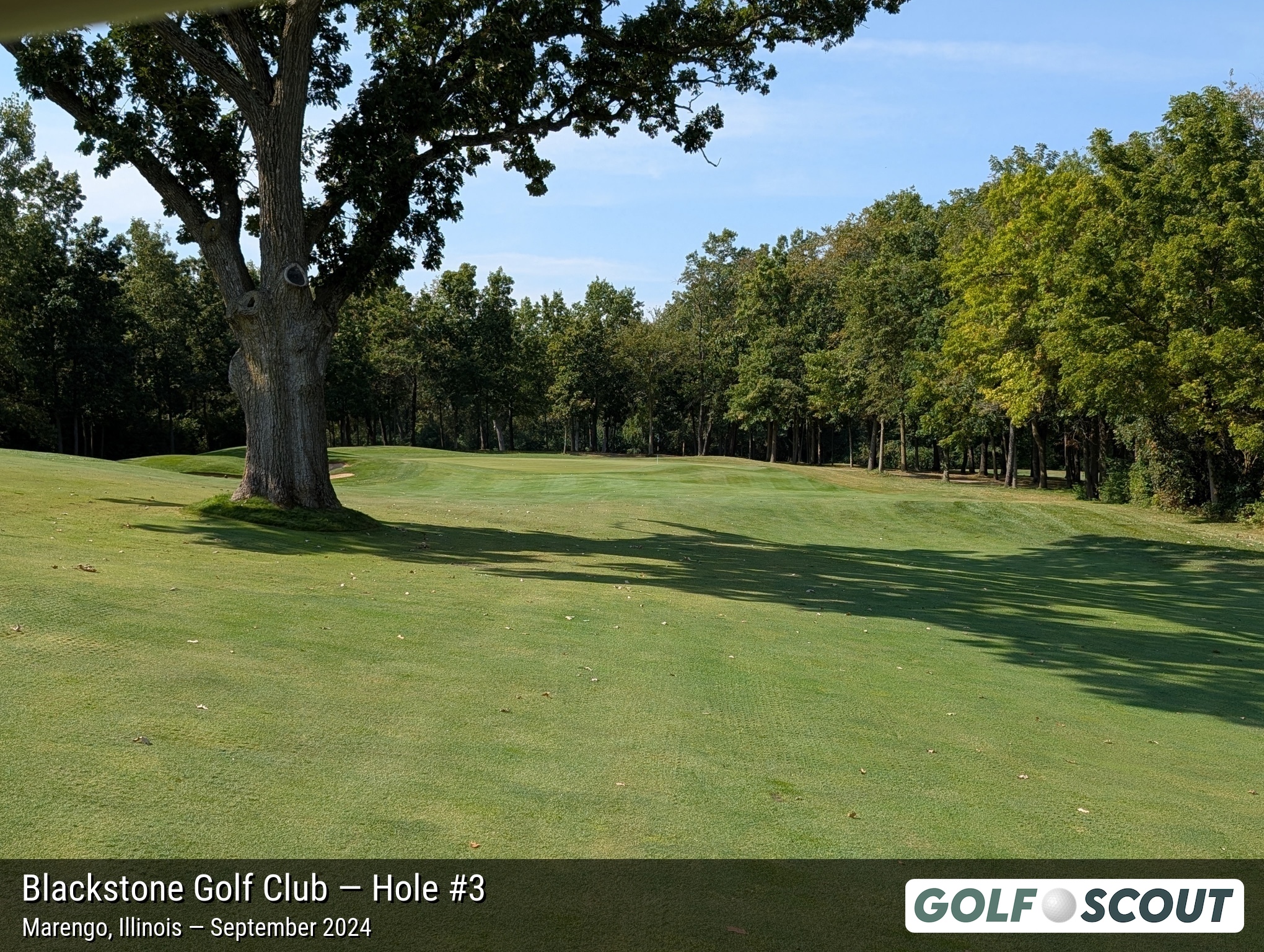 Hole 3 at Blackstone Golf Club