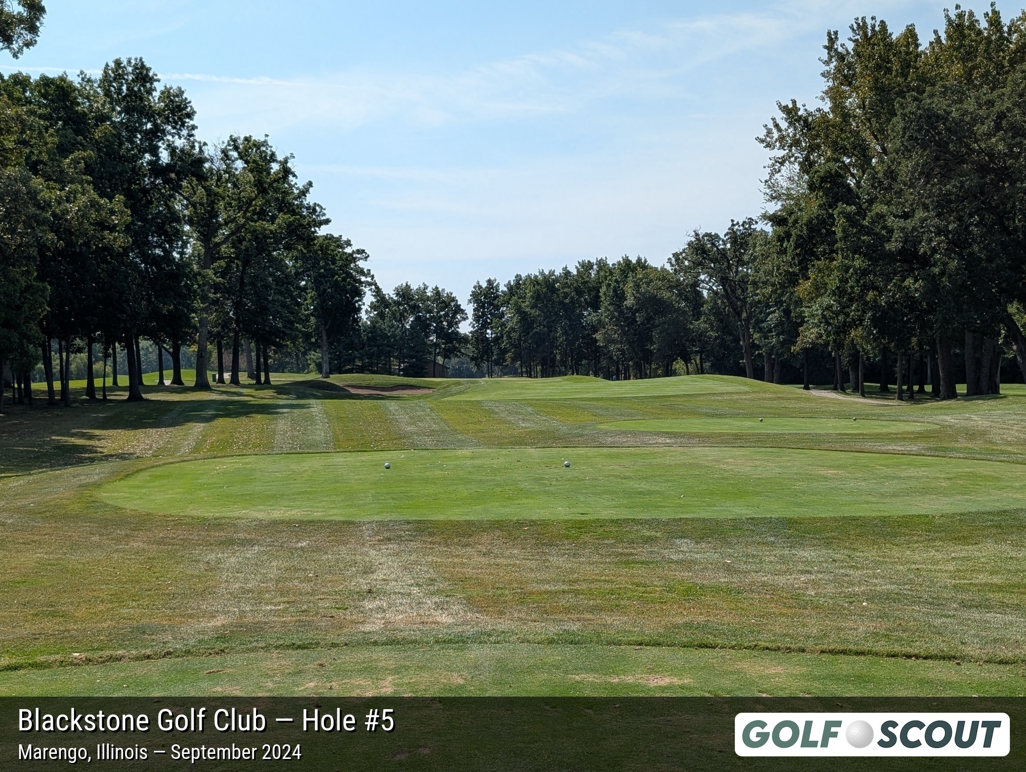 Hole 5 at Blackstone Golf Club