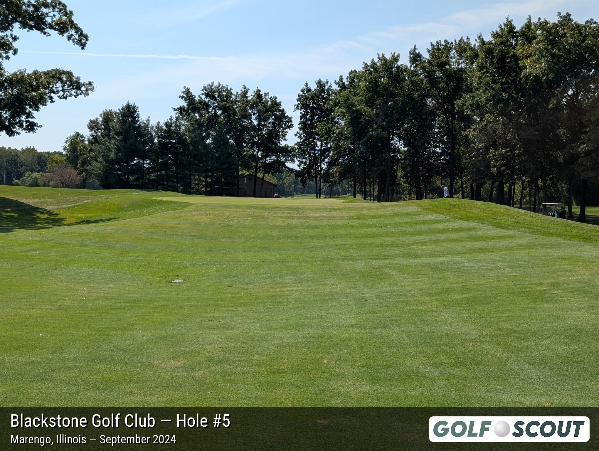 Hole 5 at Blackstone Golf Club