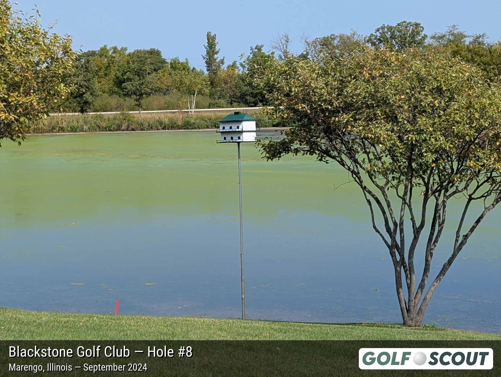 Hole 8 at Blackstone Golf Club