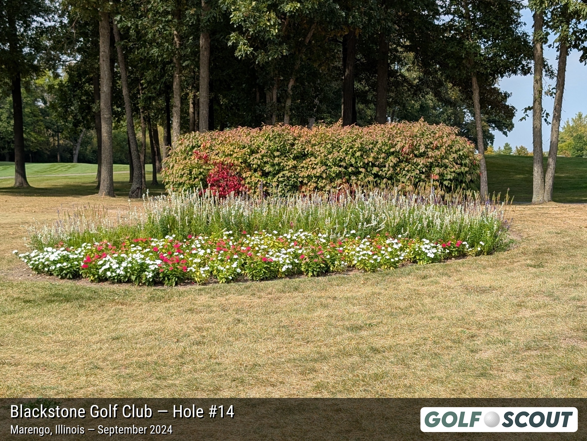 Hole 14 at Blackstone Golf Club