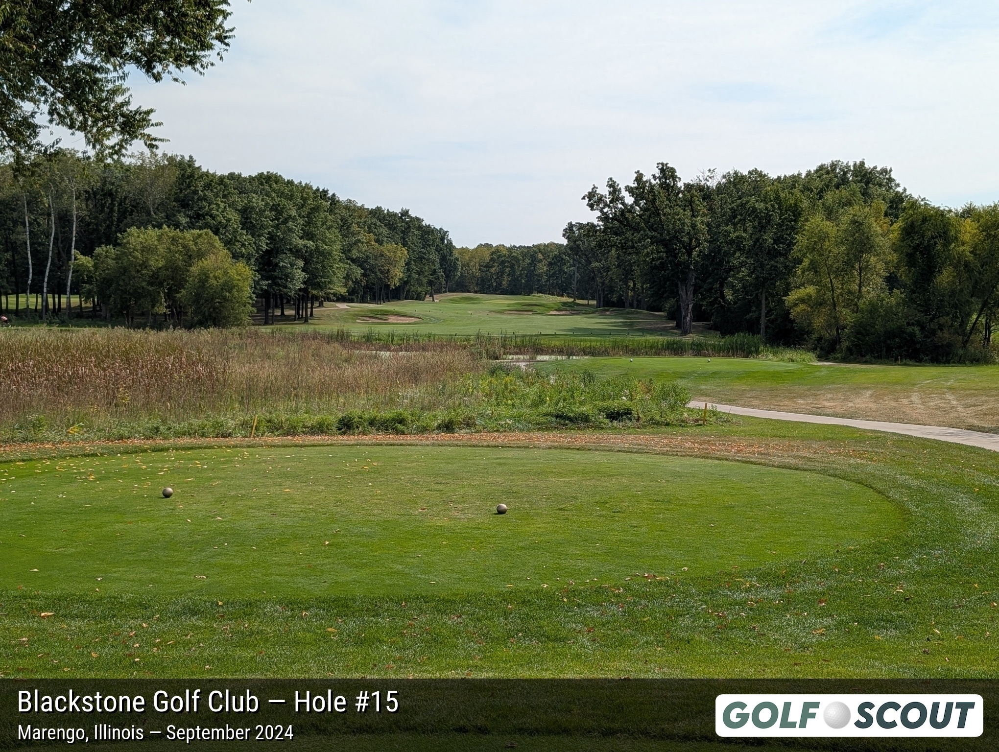 Hole 15 at Blackstone Golf Club