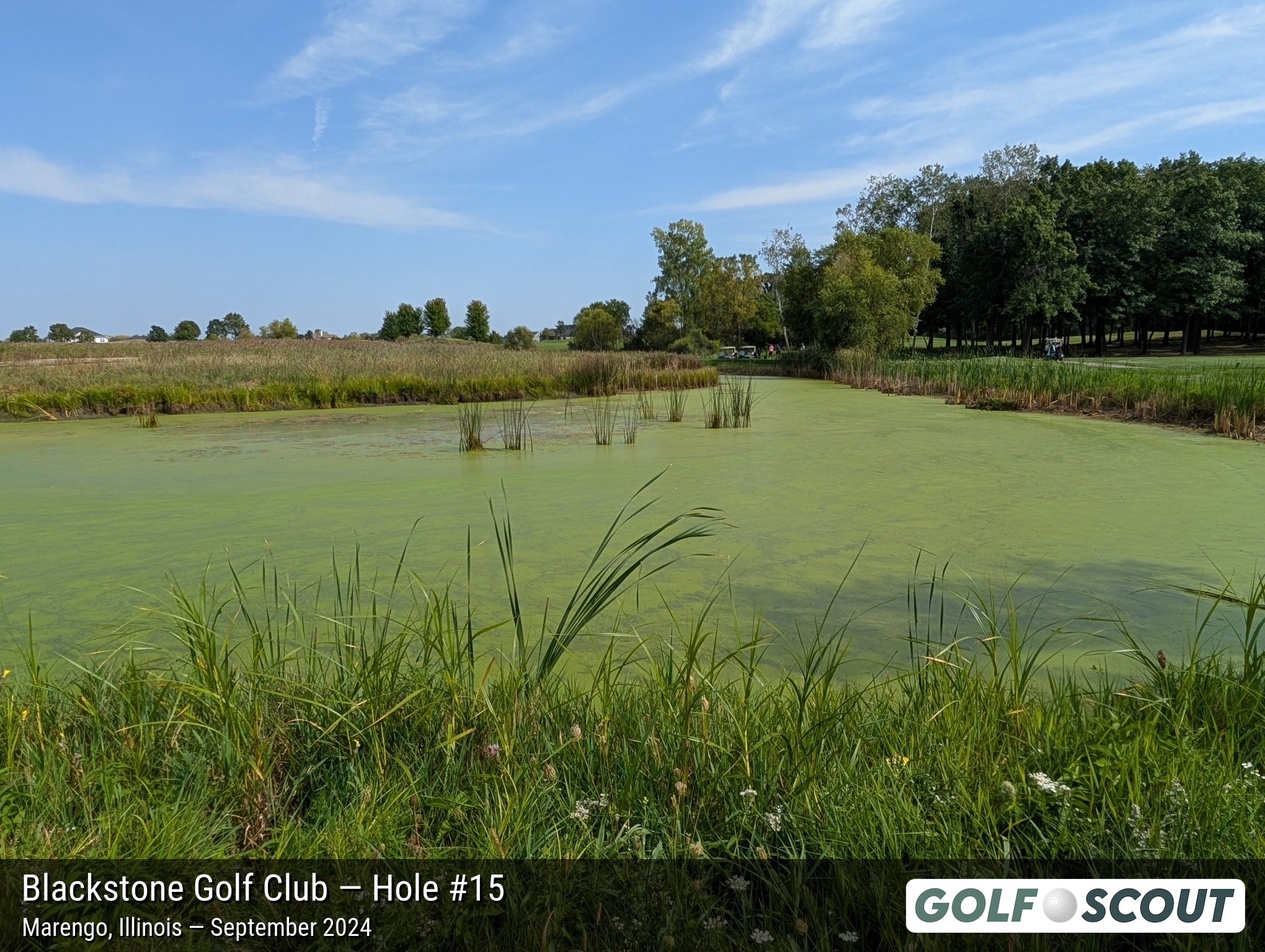 Hole 15 at Blackstone Golf Club