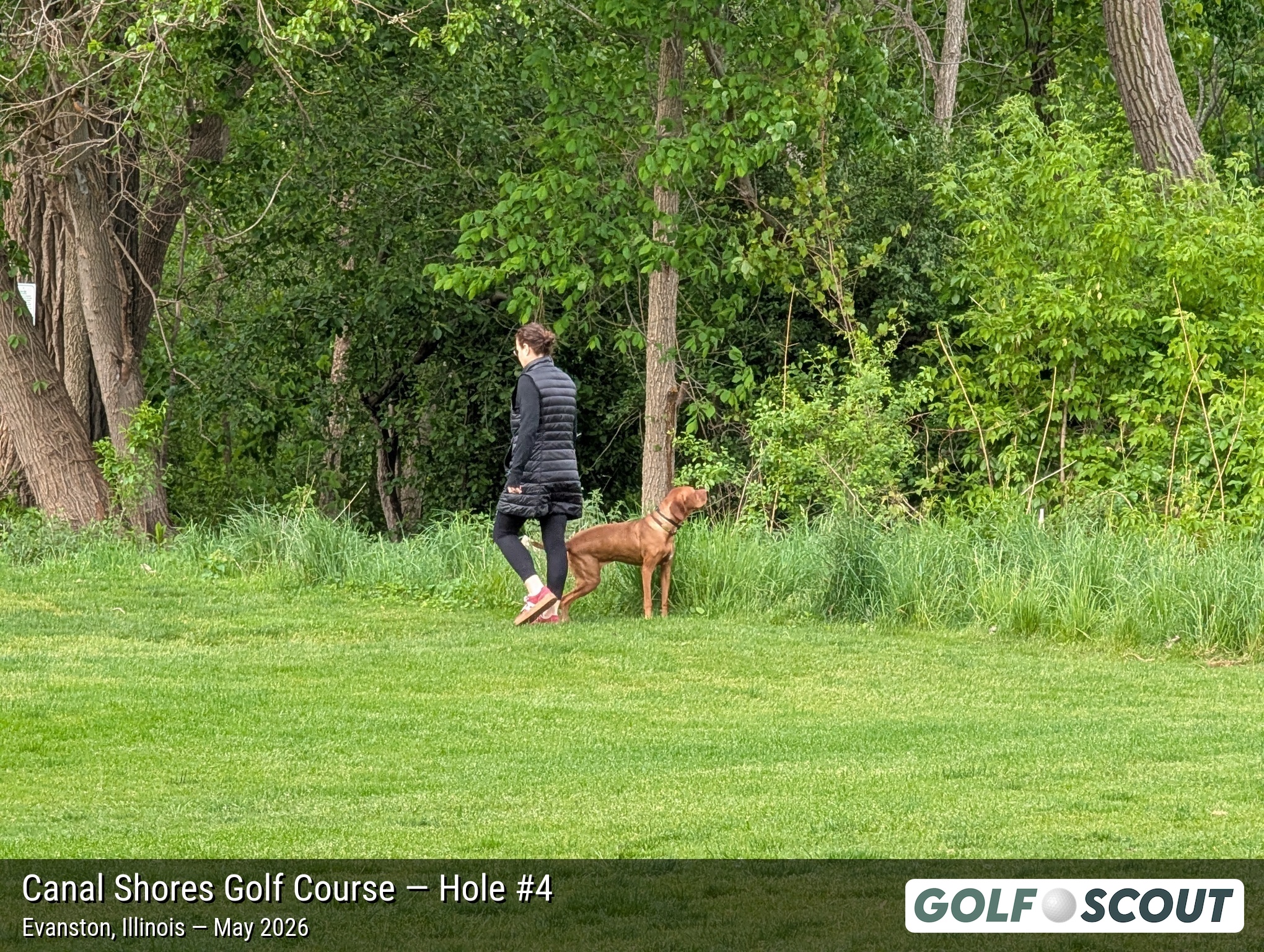 Hole 4 at The Evans at Canal Shores