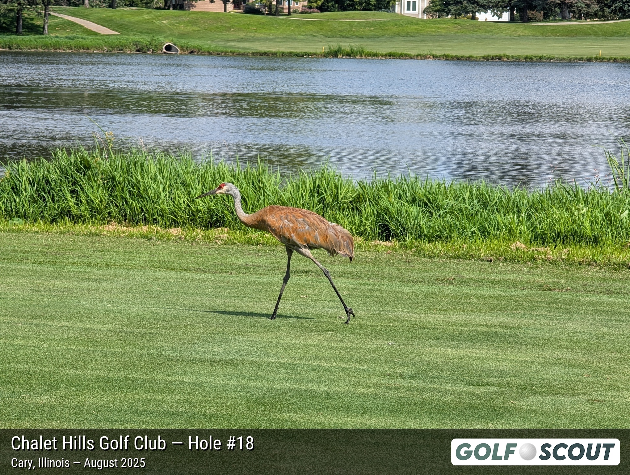 Hole 18 at Chalet Hills Golf Club