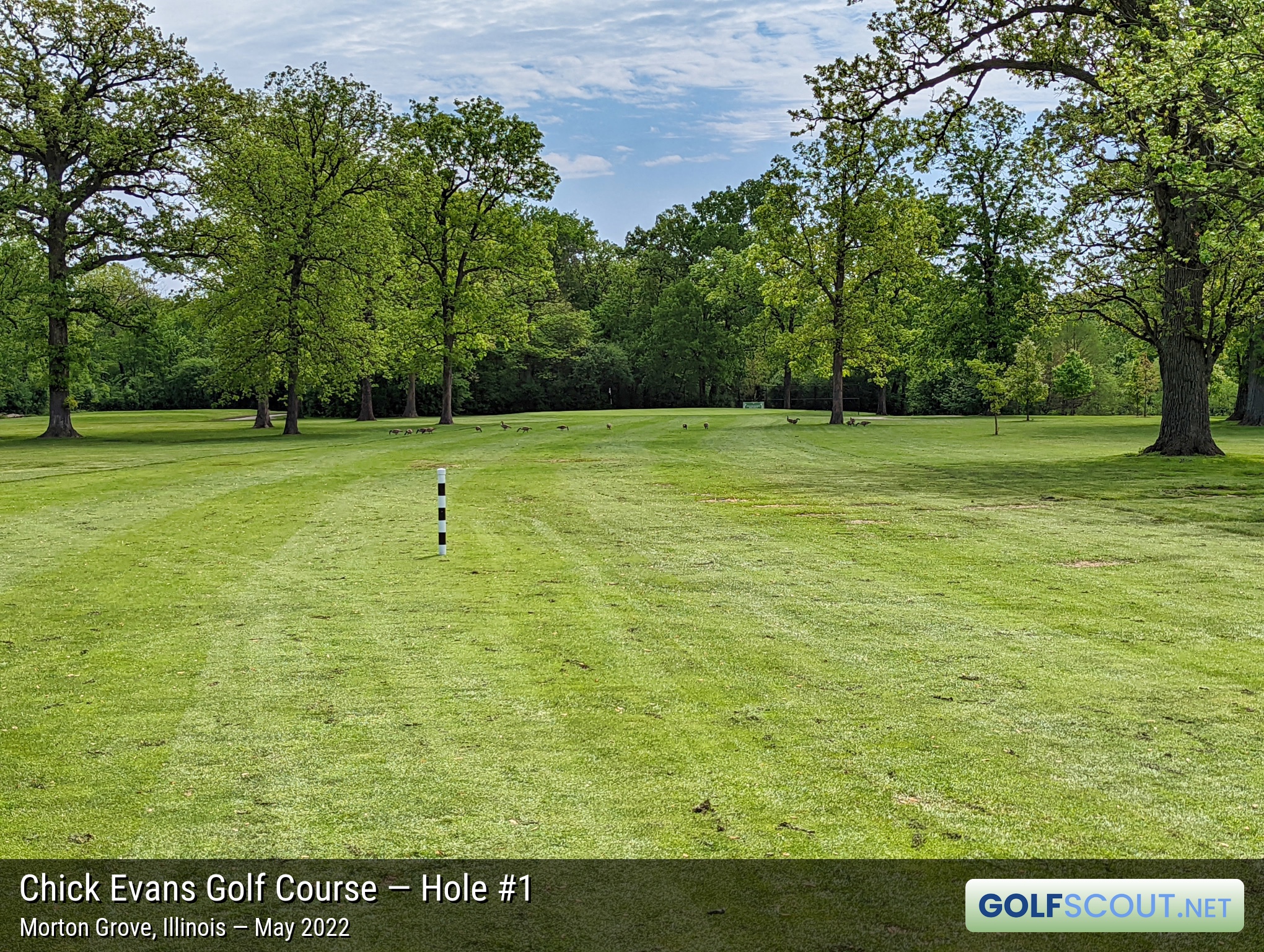 Photo of hole #1 at Chick Evans Golf Course in Morton Grove, Illinois. 