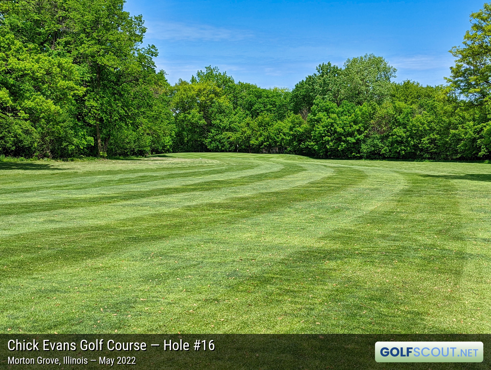 Photo of hole #16 at Chick Evans Golf Course in Morton Grove, Illinois. 