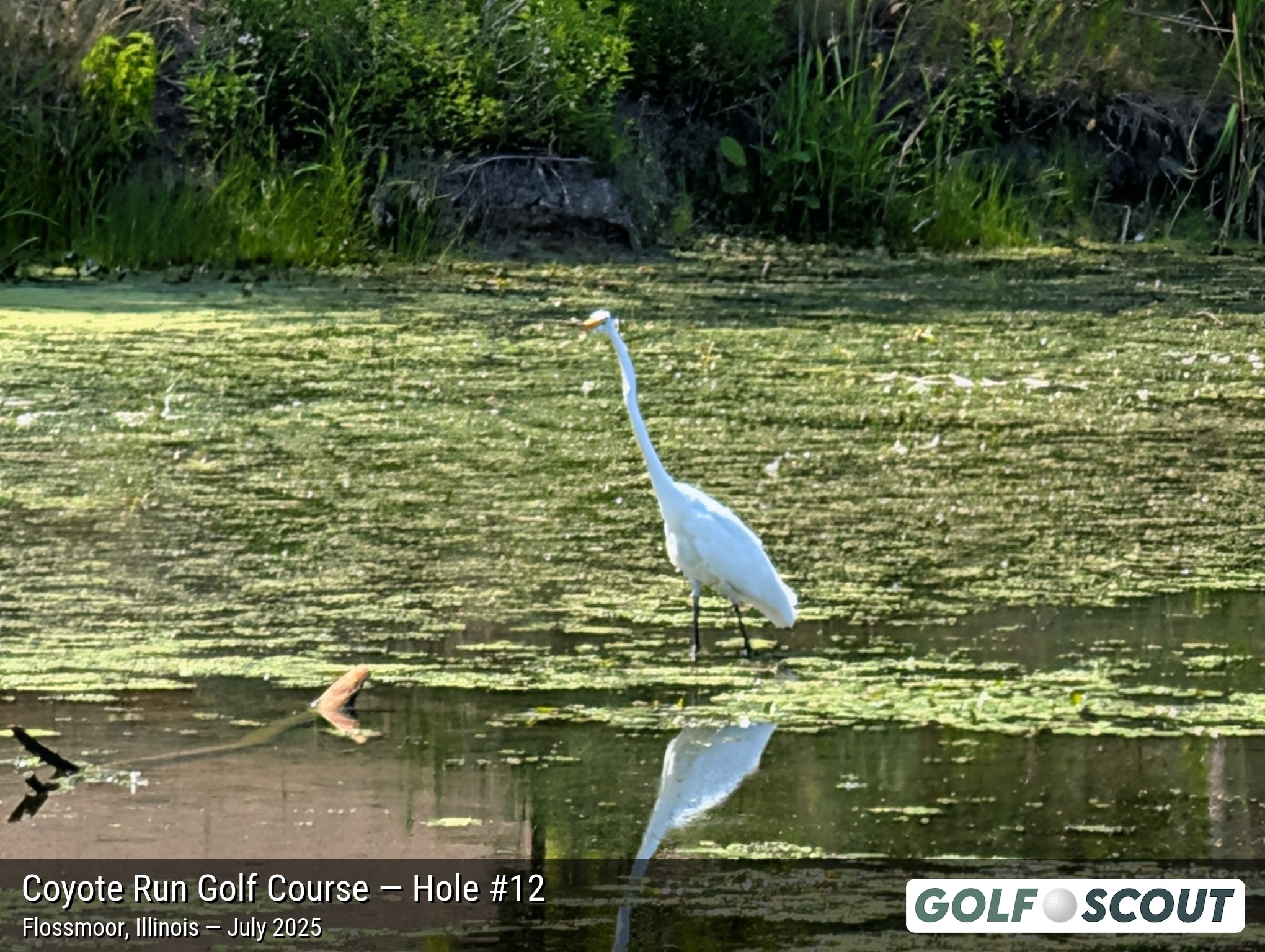 Hole 12 at Coyote Run Golf Course