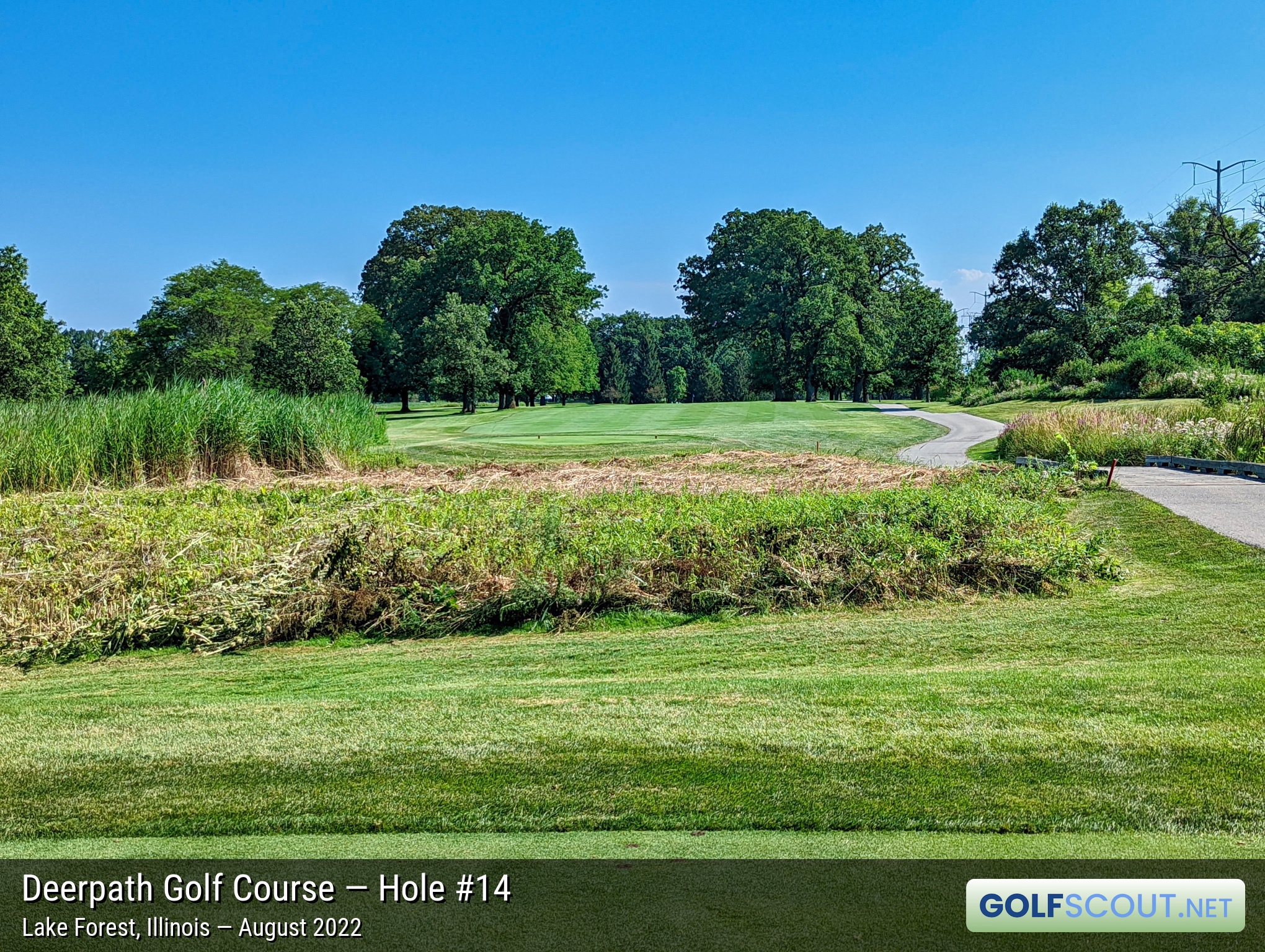 Photo of hole #14 at Deerpath Golf Course in Lake Forest, Illinois. 