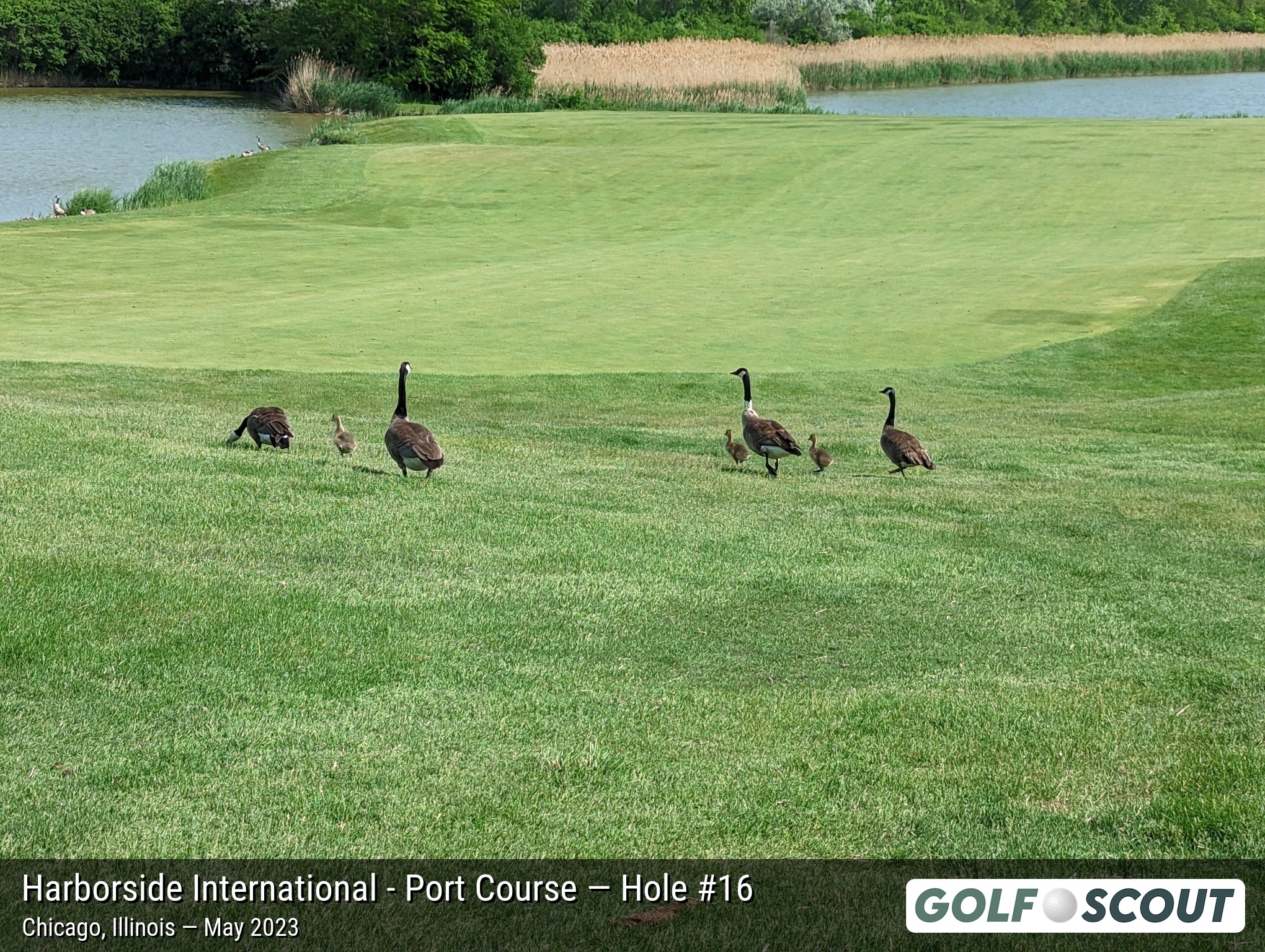 Hole 16 at Harborside International - Port Course