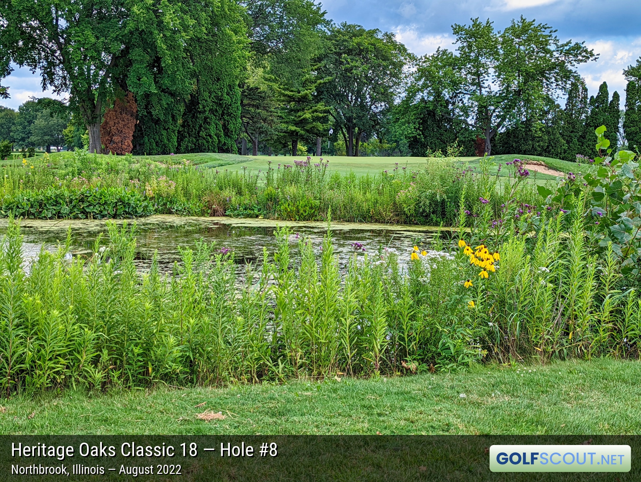 Photo of hole #8 at Heritage Oaks Golf Club - Classic 18 in Northbrook, Illinois. 