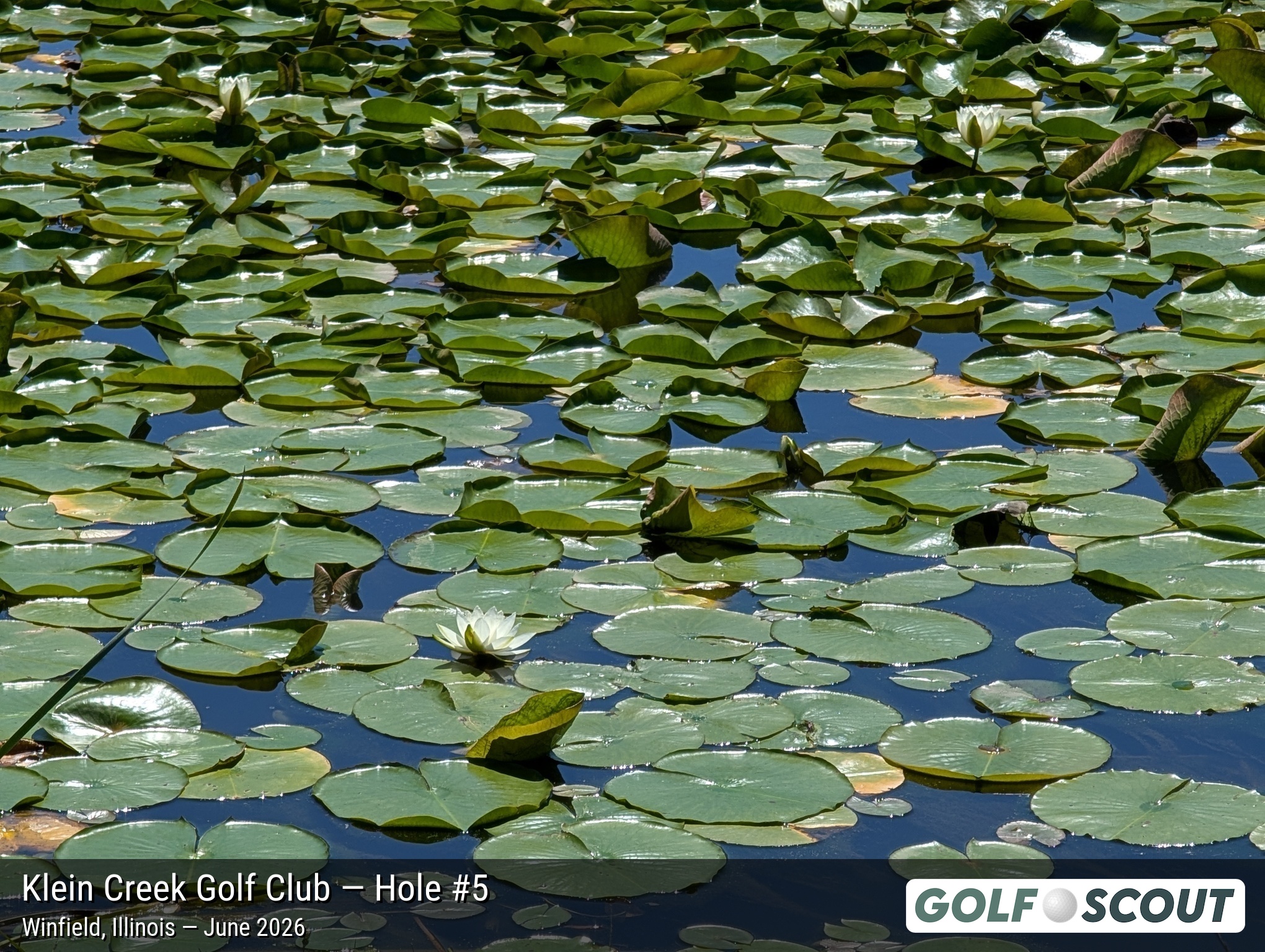 Hole 5 at Klein Creek Golf Club