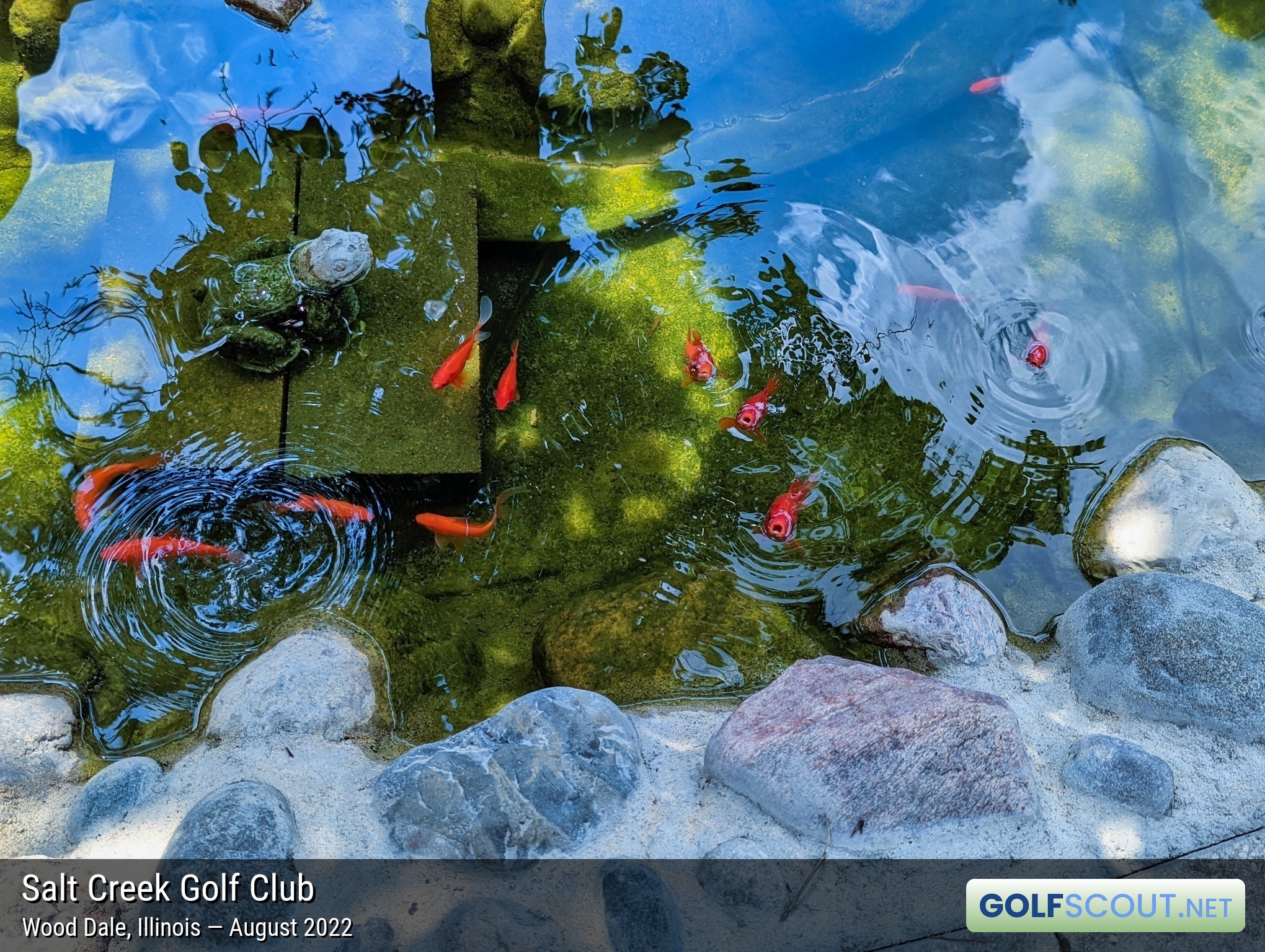 Miscellaneous photo of Salt Creek Golf Club in Wood Dale, Illinois. 