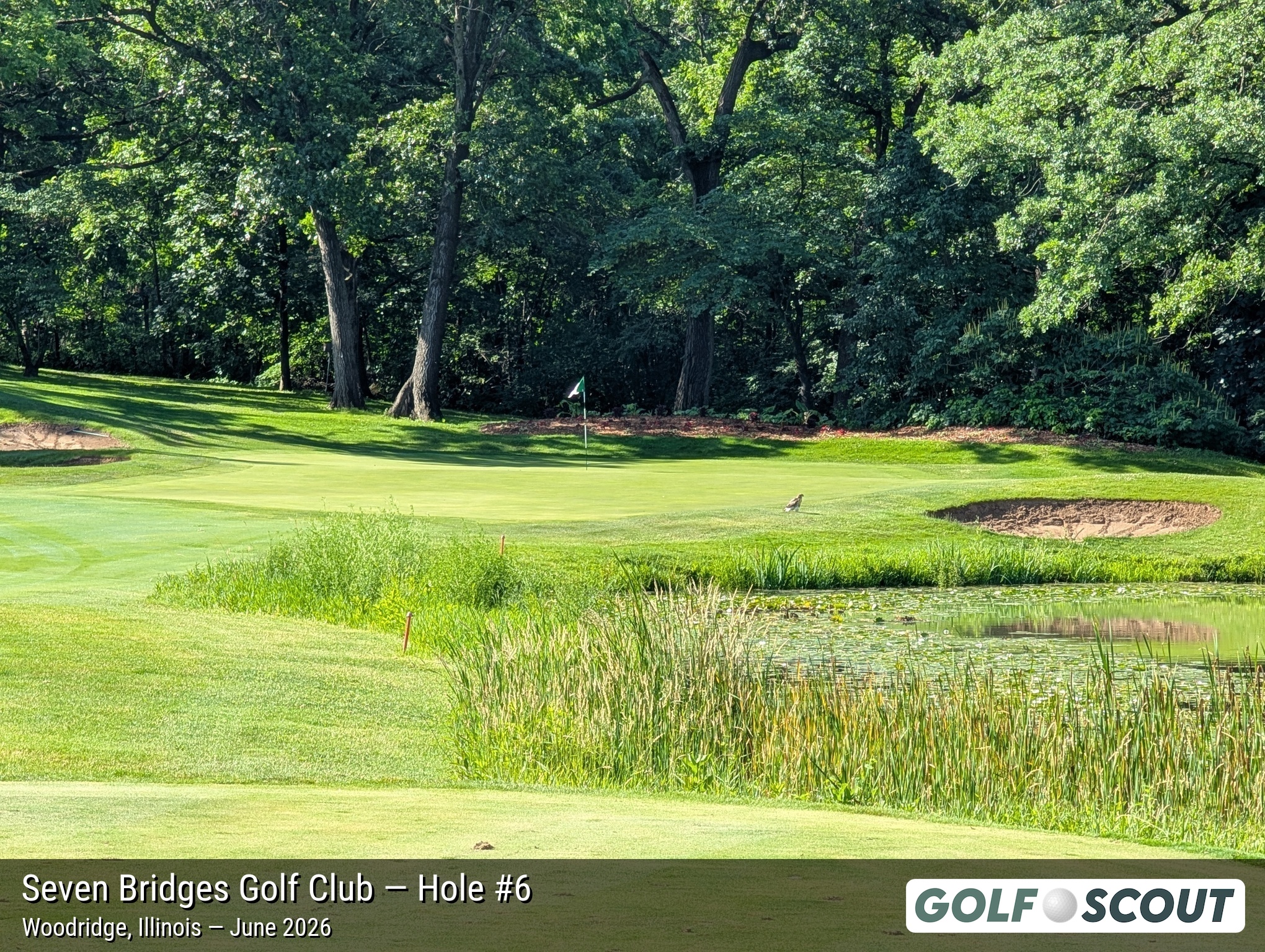 Hole 6 at Seven Bridges Golf Club