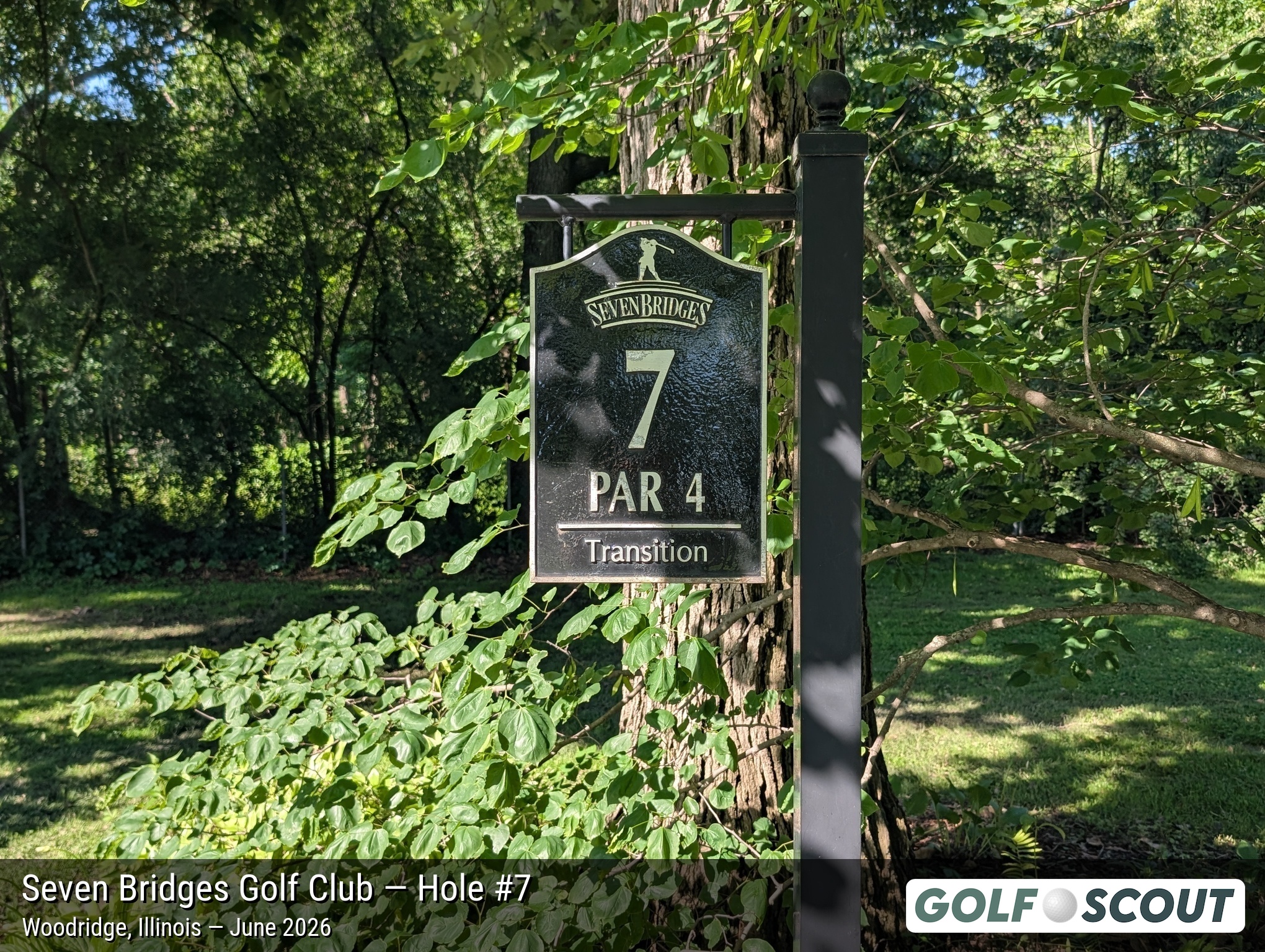 Hole 7 at Seven Bridges Golf Club