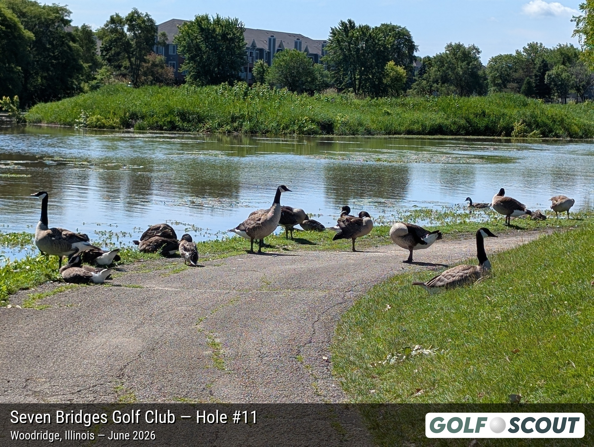 Hole 11 at Seven Bridges Golf Club