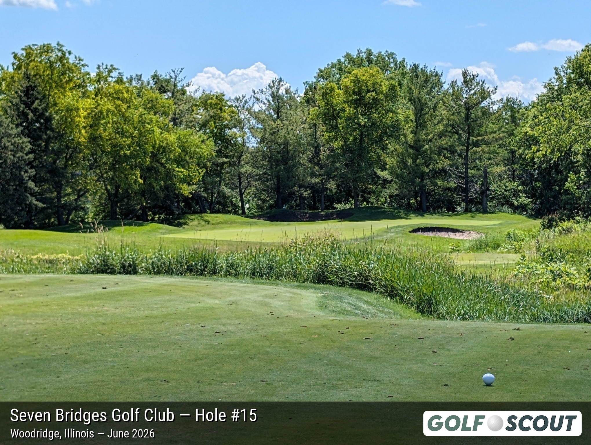 Hole 15 at Seven Bridges Golf Club