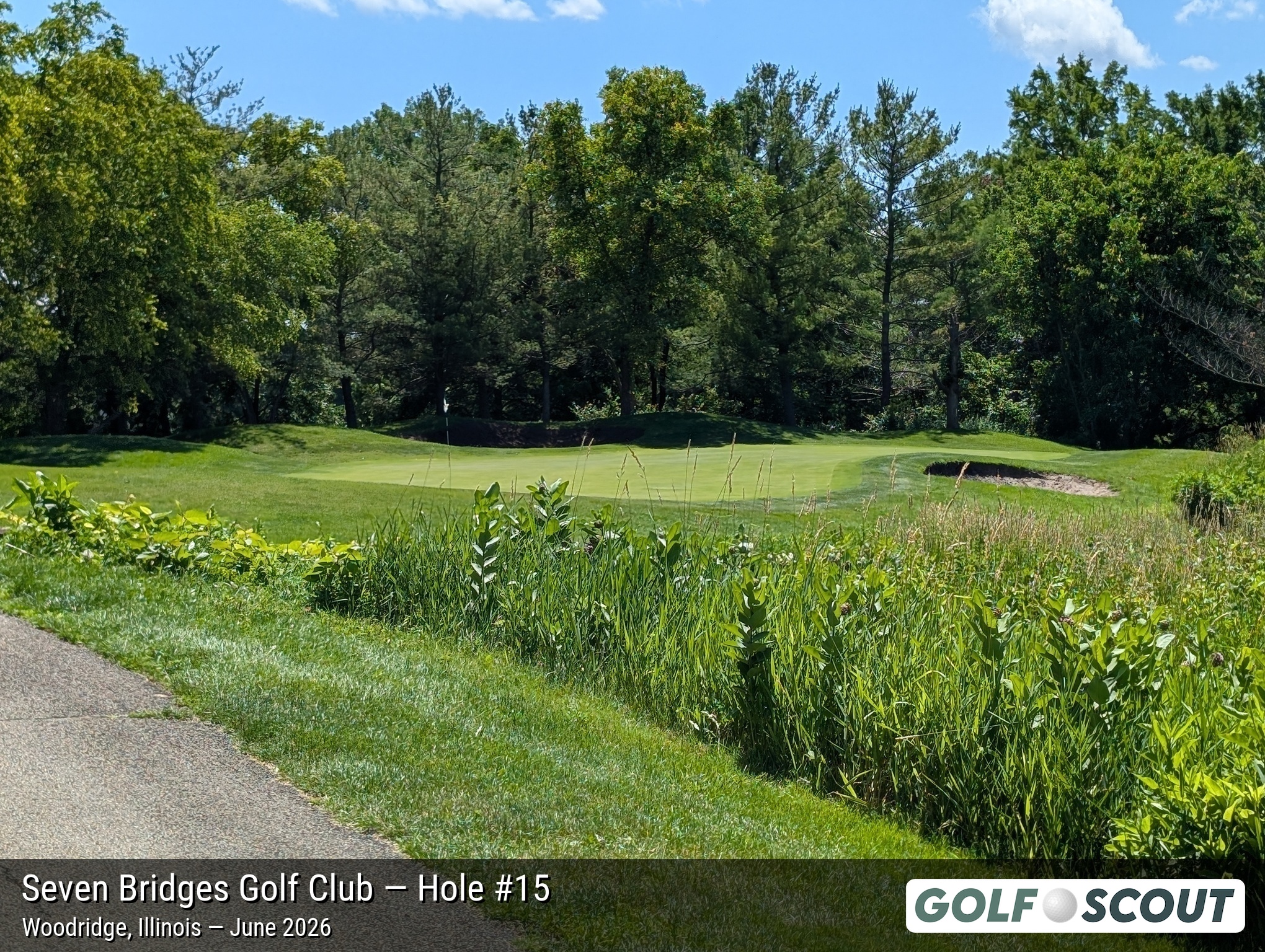 Hole 15 at Seven Bridges Golf Club