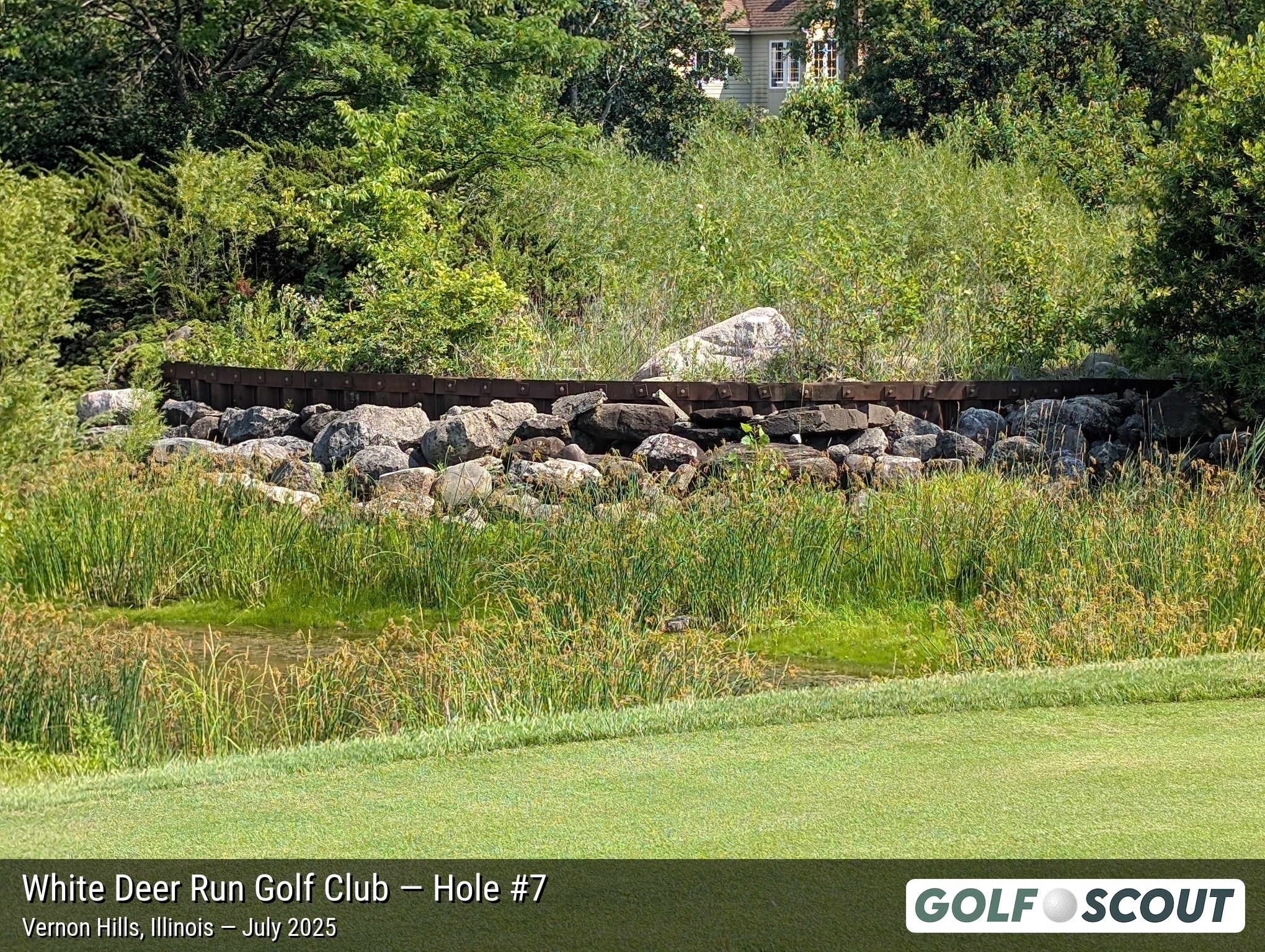 Hole 7 at White Deer Run Golf Club