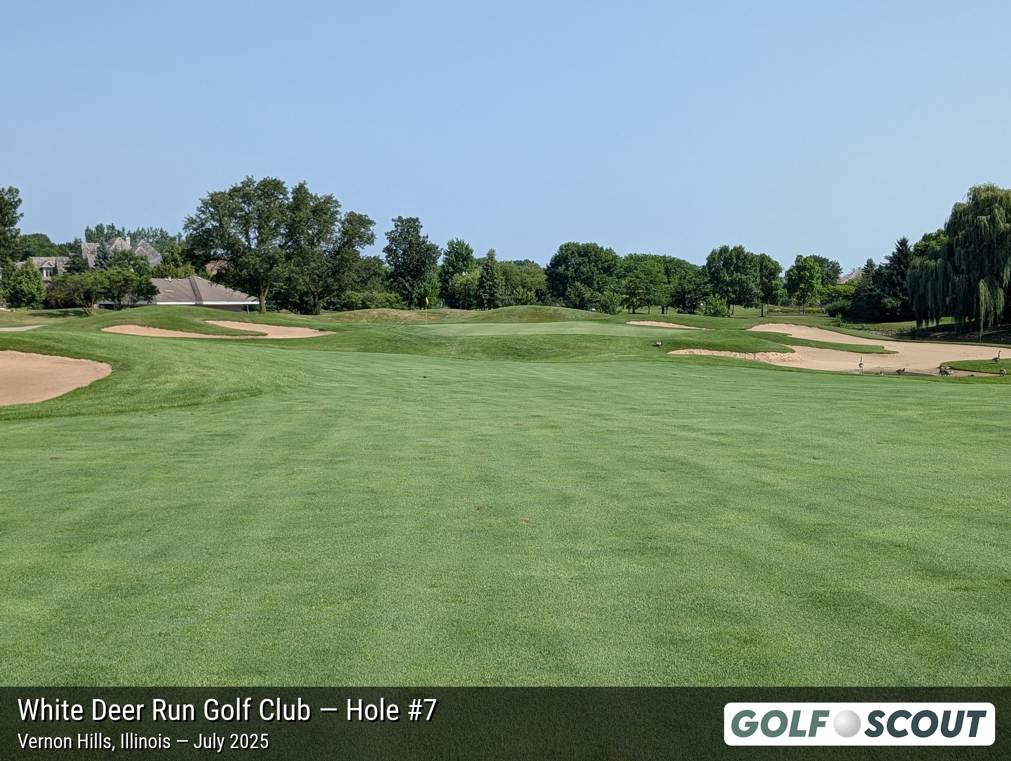 Hole 7 at White Deer Run Golf Club