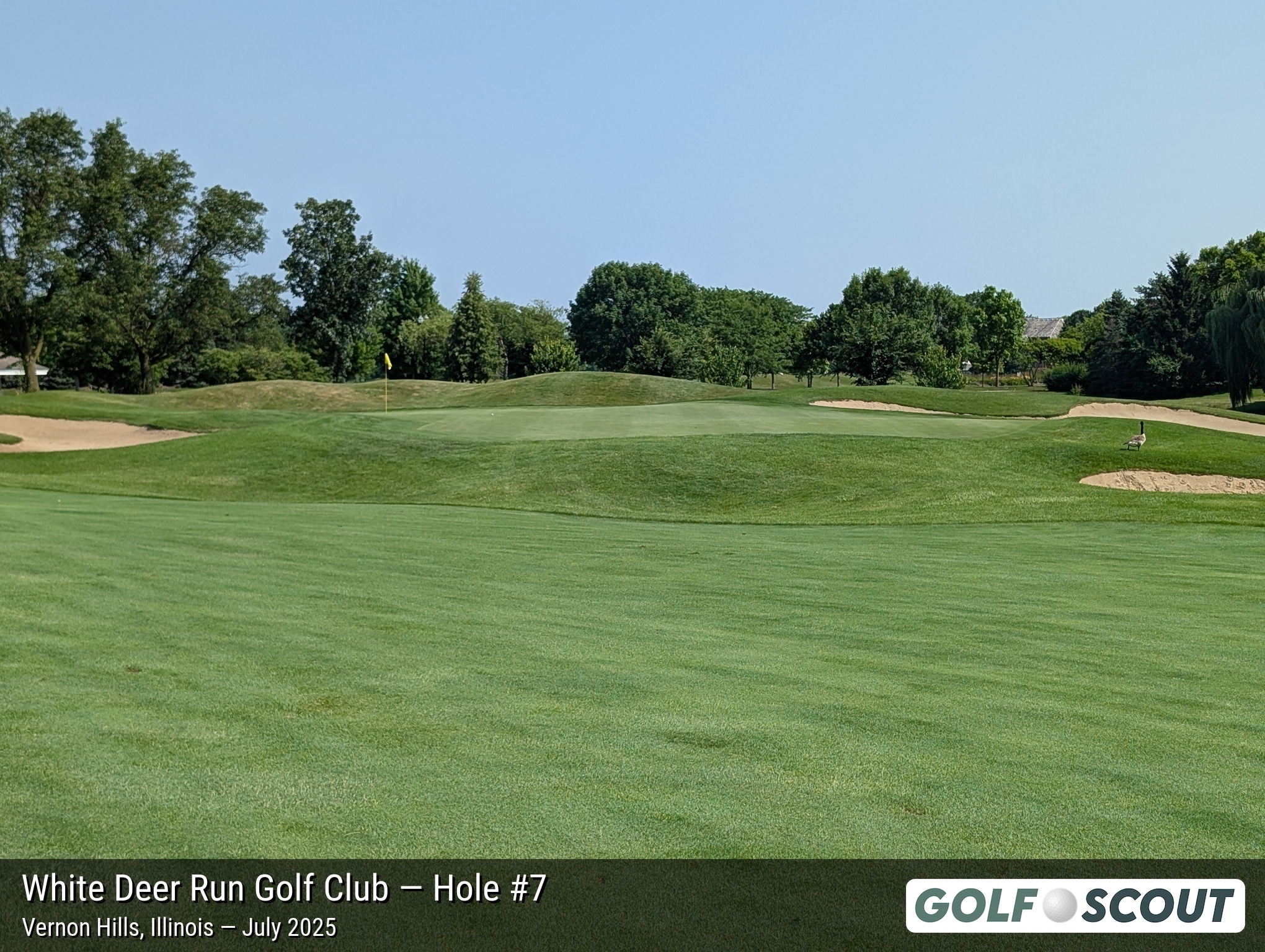Hole 7 at White Deer Run Golf Club