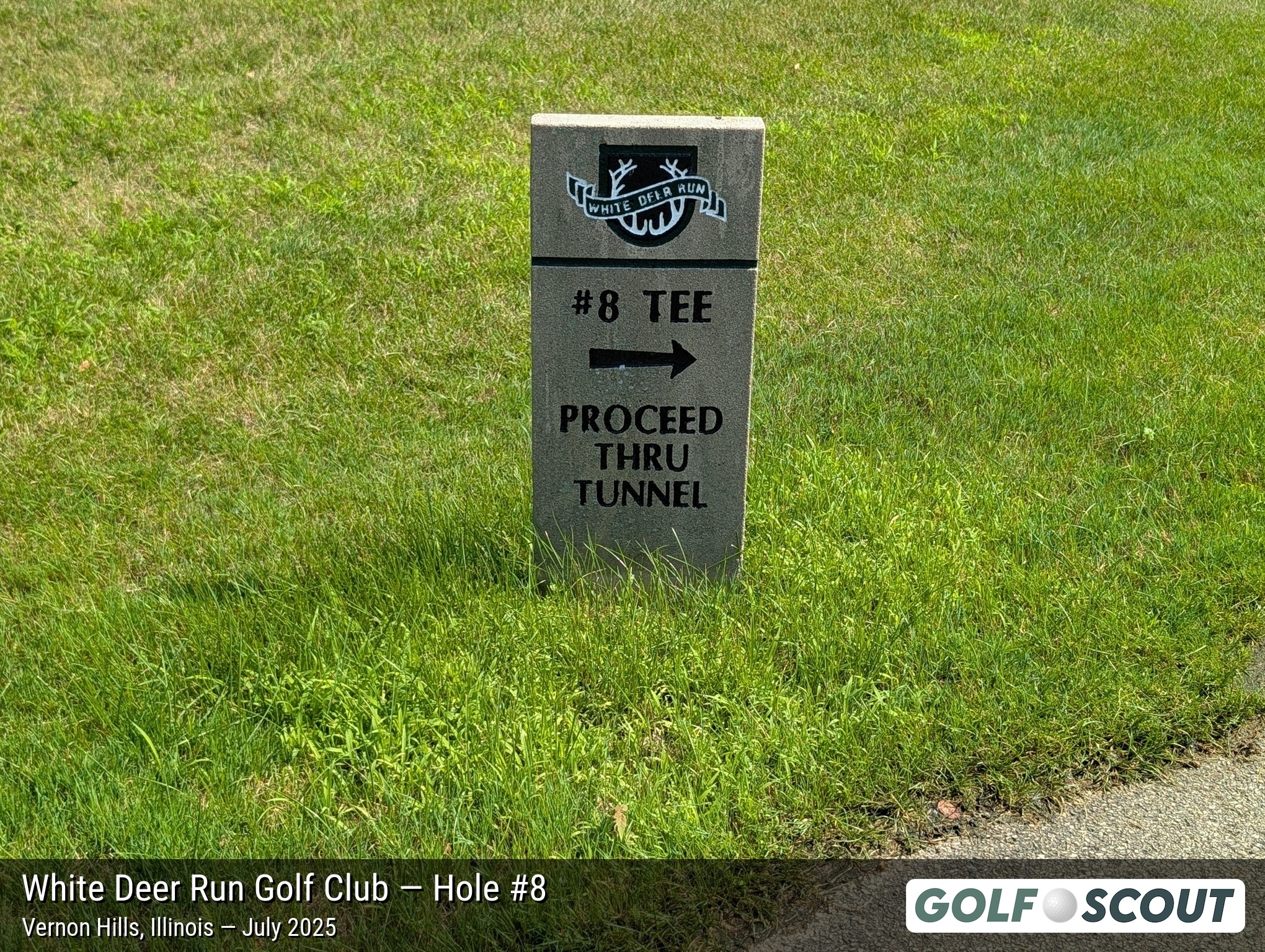 Hole 8 at White Deer Run Golf Club
