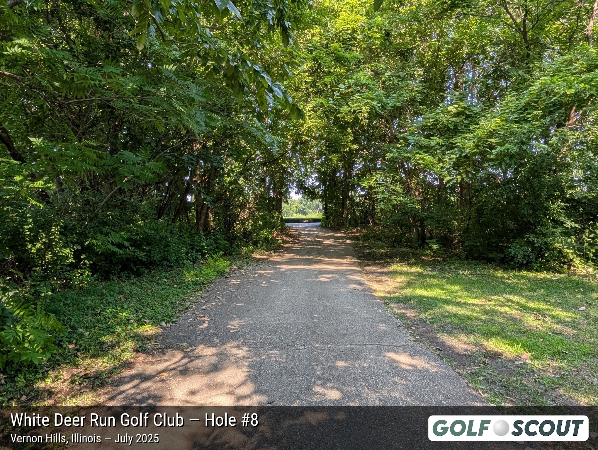 Hole 8 at White Deer Run Golf Club