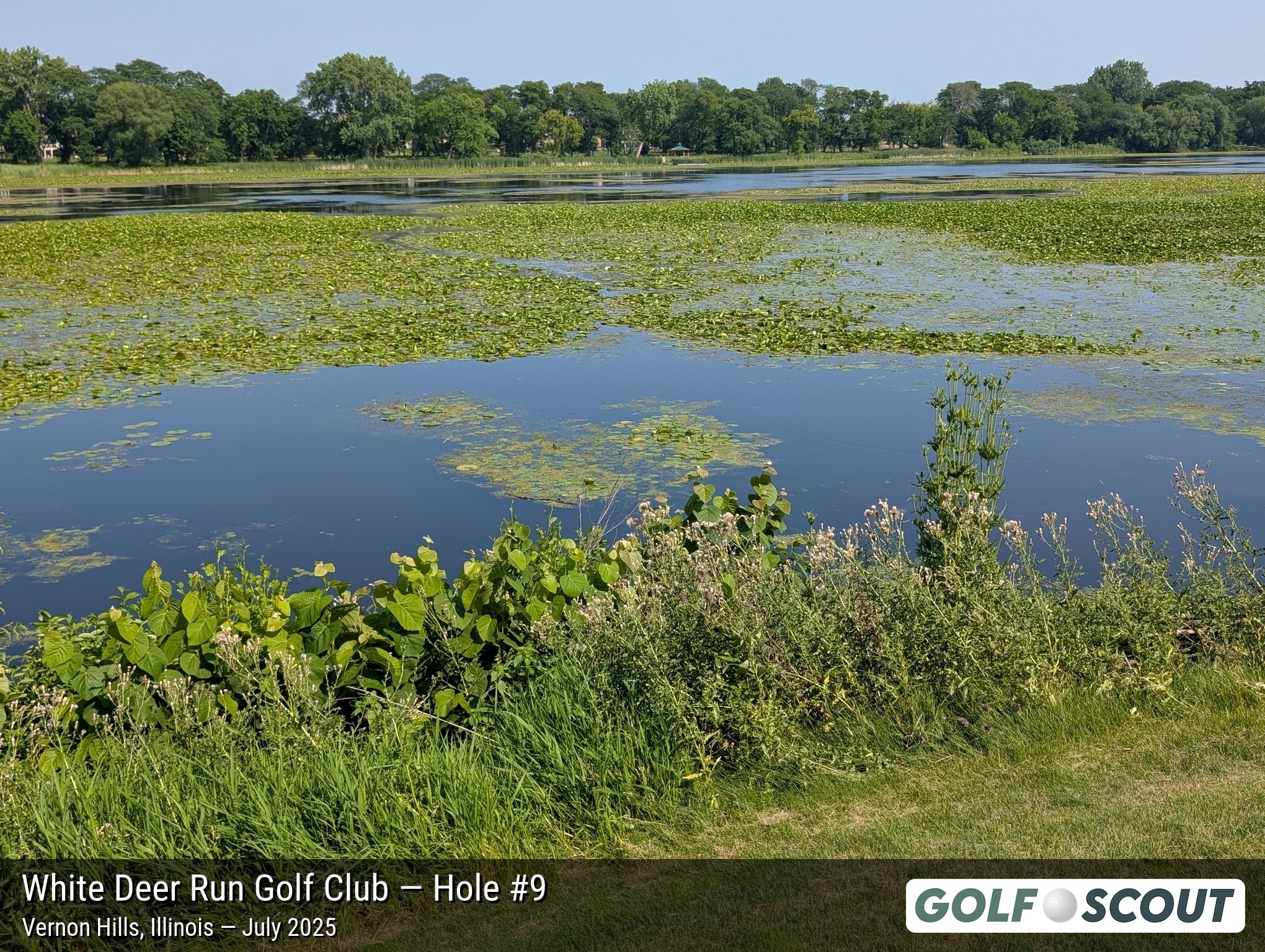 Hole 9 at White Deer Run Golf Club