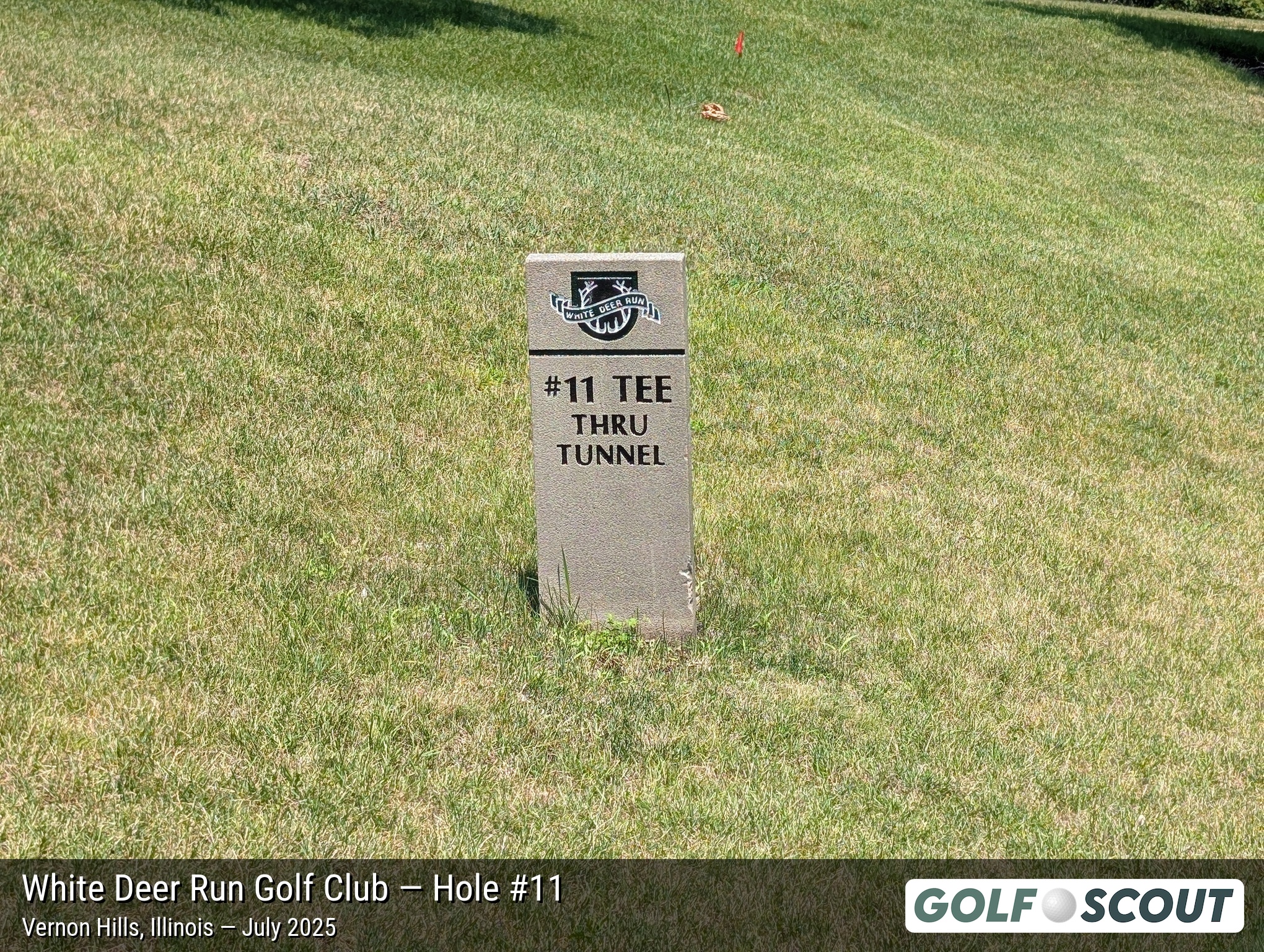 Hole 11 at White Deer Run Golf Club