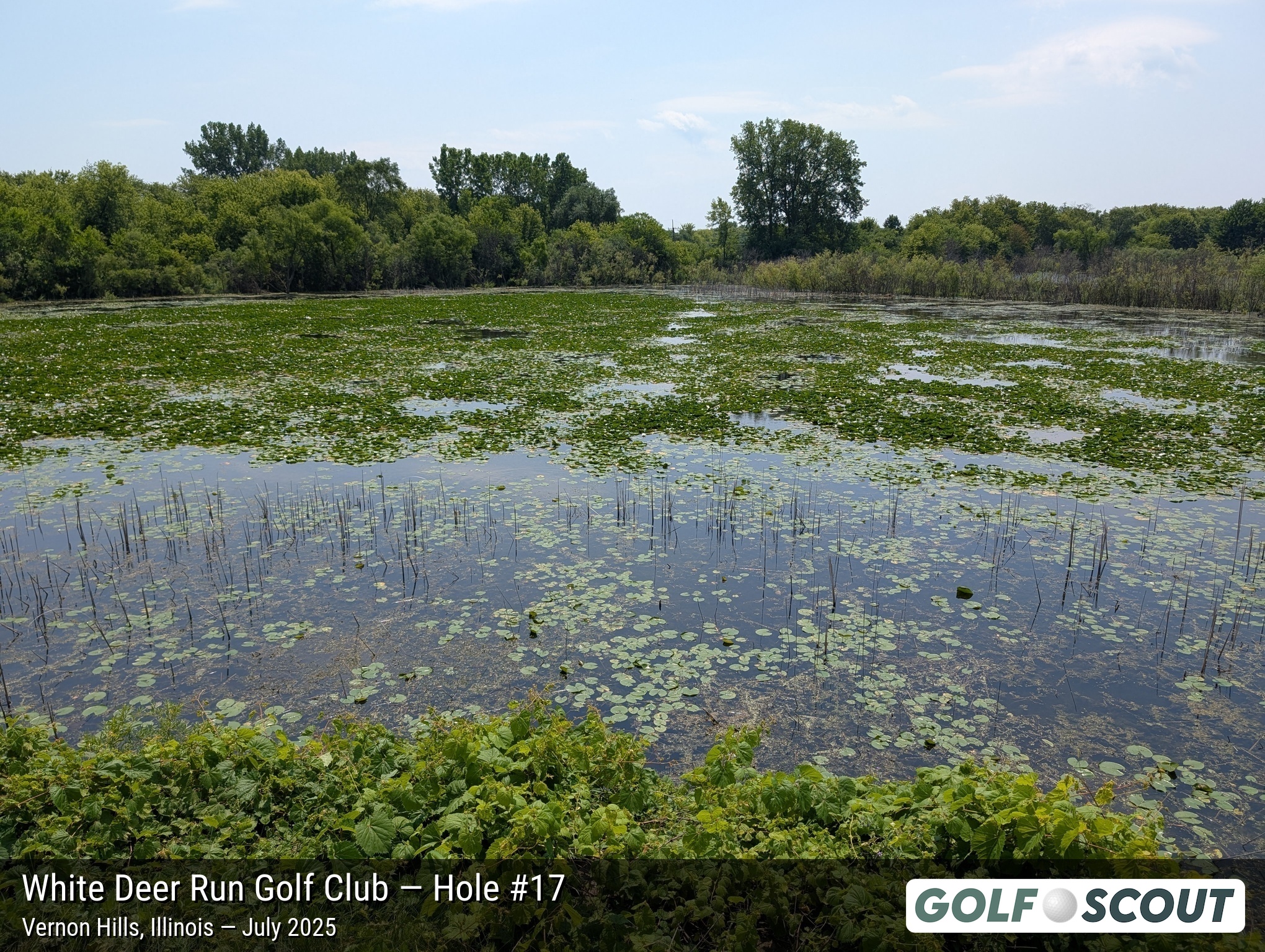 Hole 17 at White Deer Run Golf Club
