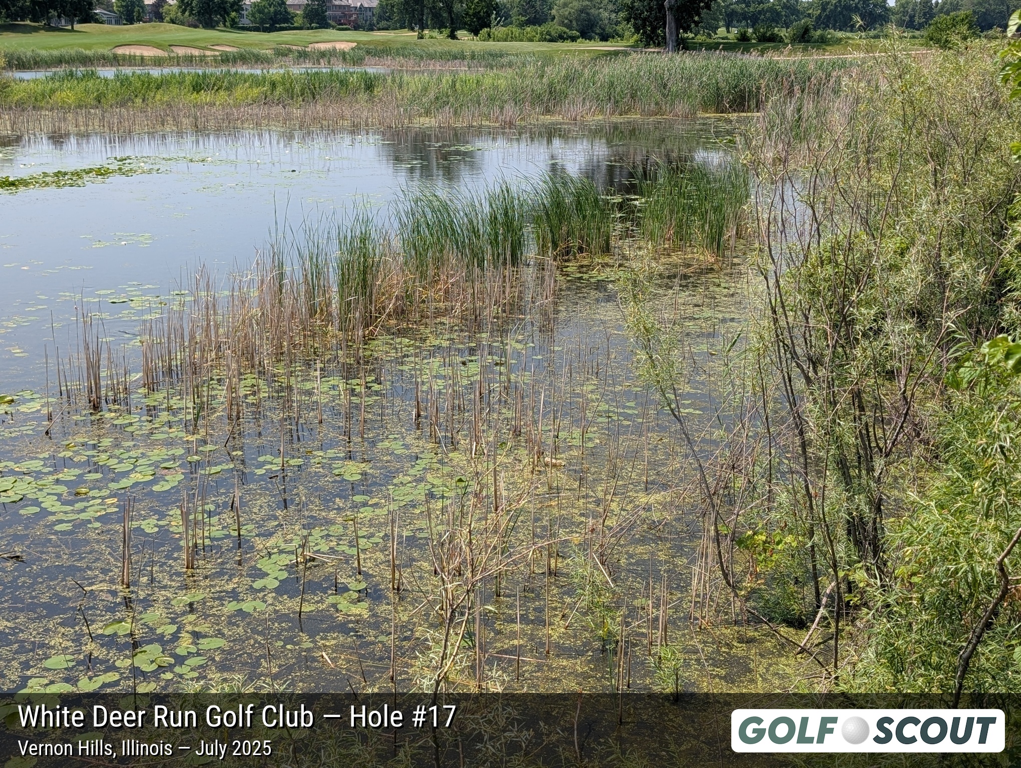 Hole 17 at White Deer Run Golf Club