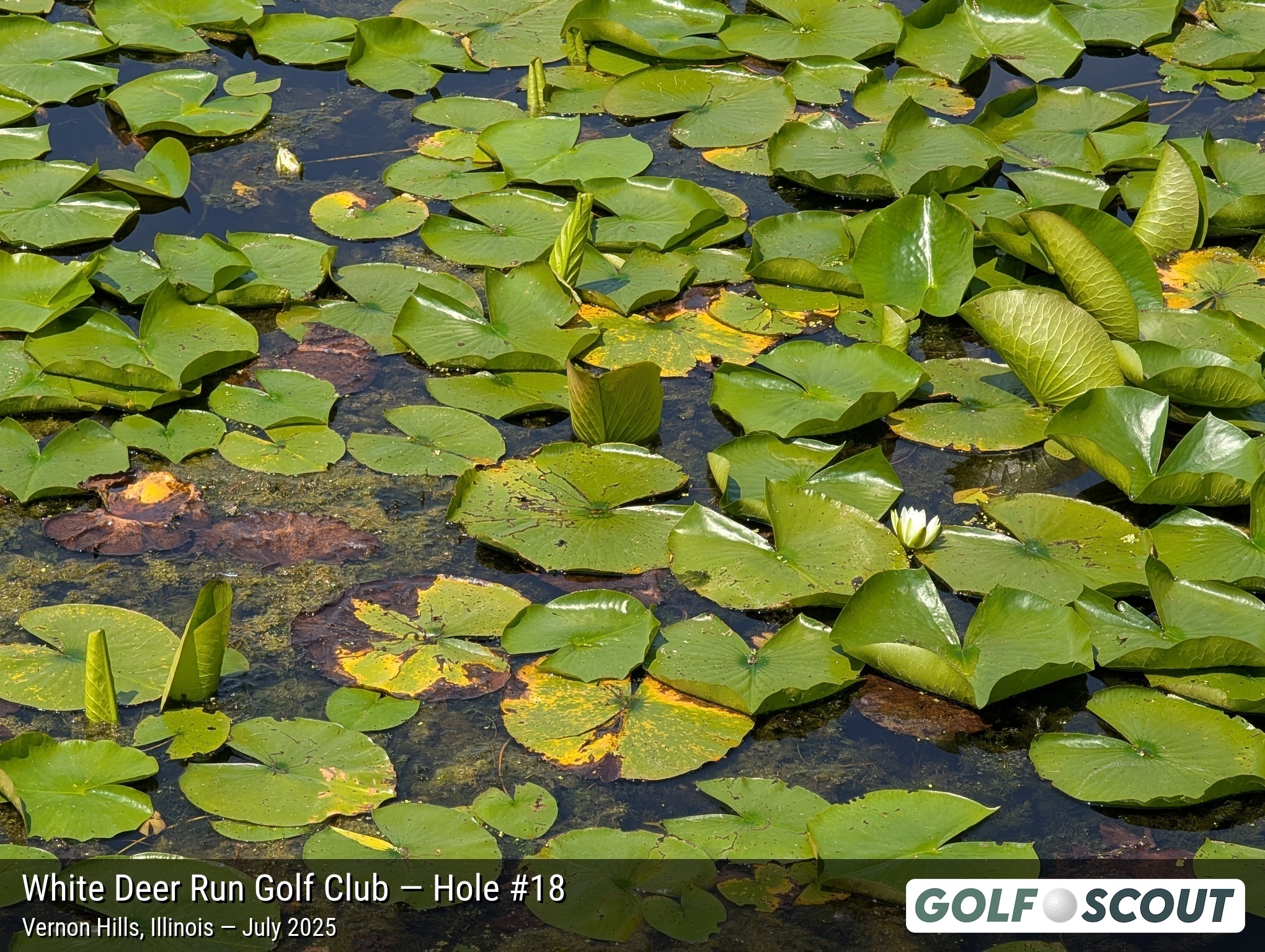 Hole 18 at White Deer Run Golf Club
