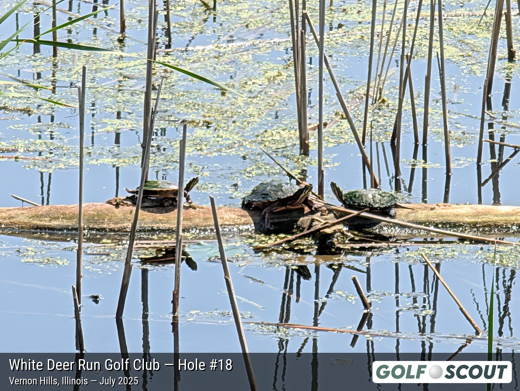 Hole 18 at White Deer Run Golf Club