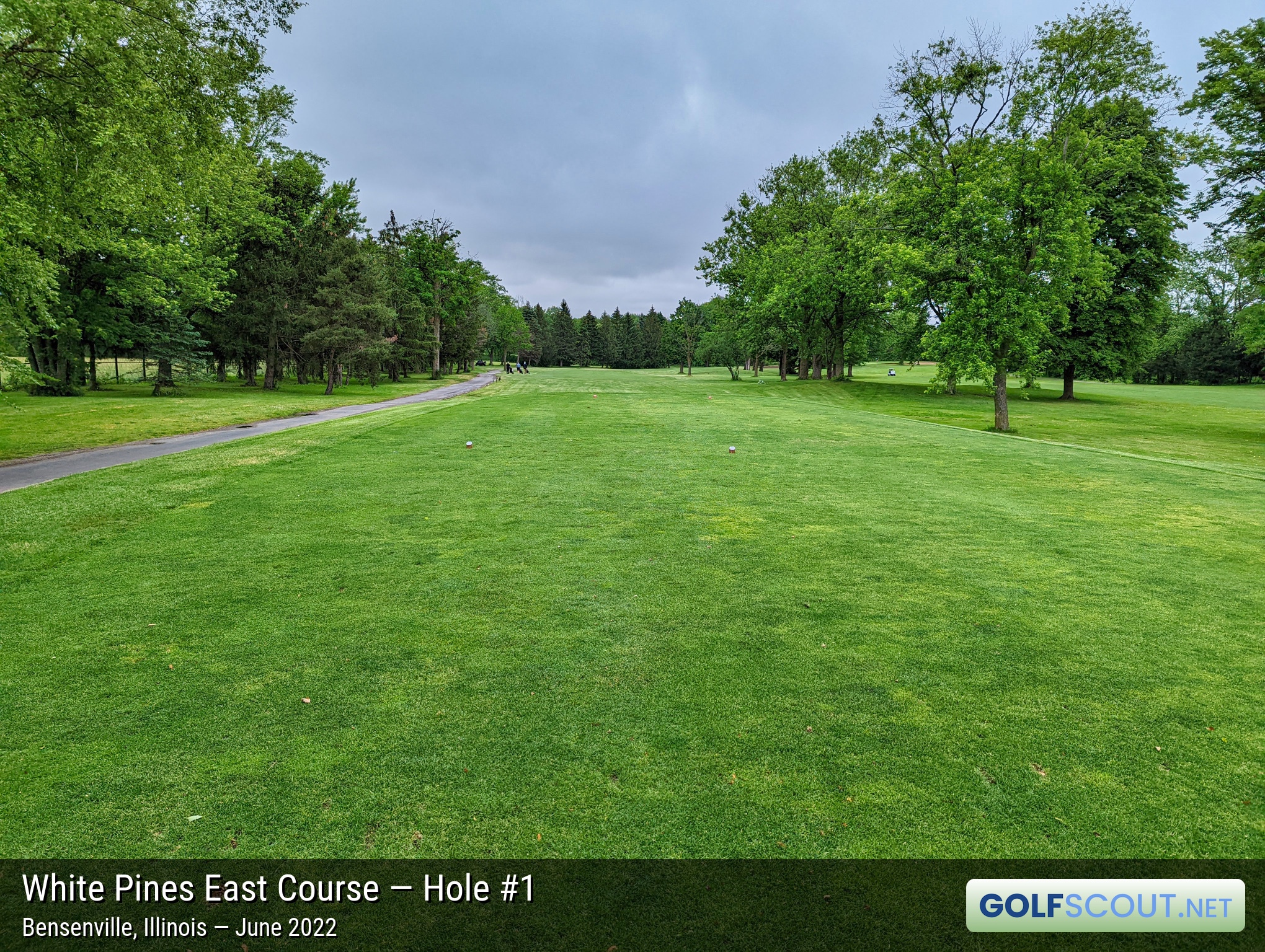Photo of hole #1 at White Pines East Course in Bensenville, Illinois. 