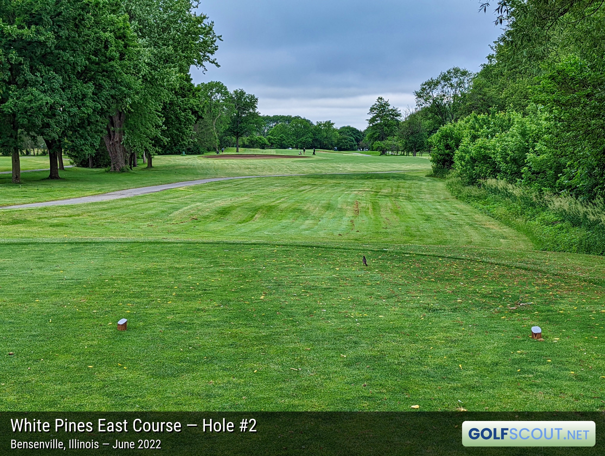 Photo of hole #2 at White Pines East Course in Bensenville, Illinois. 