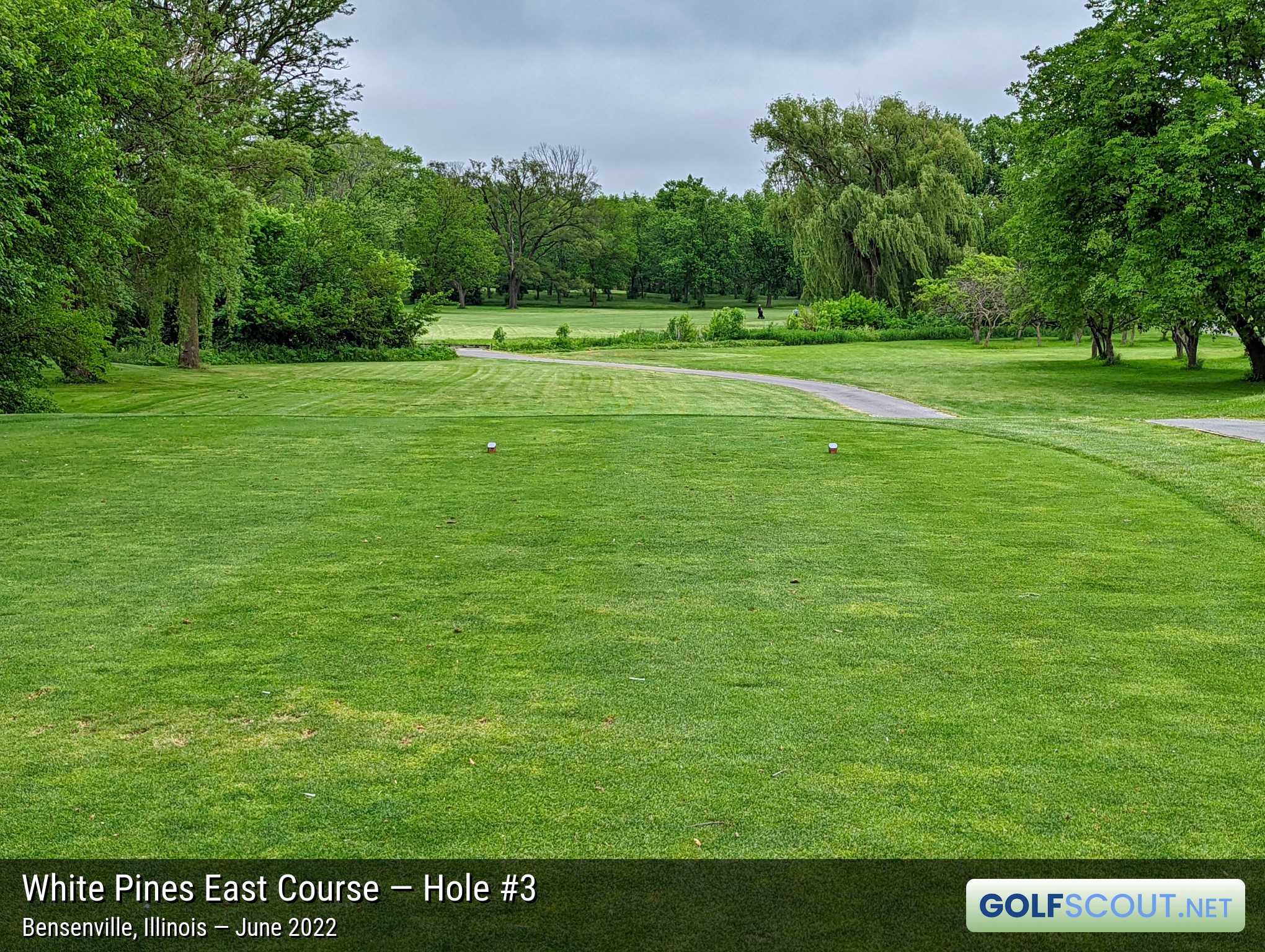 Photo of hole #3 at White Pines East Course in Bensenville, Illinois. 