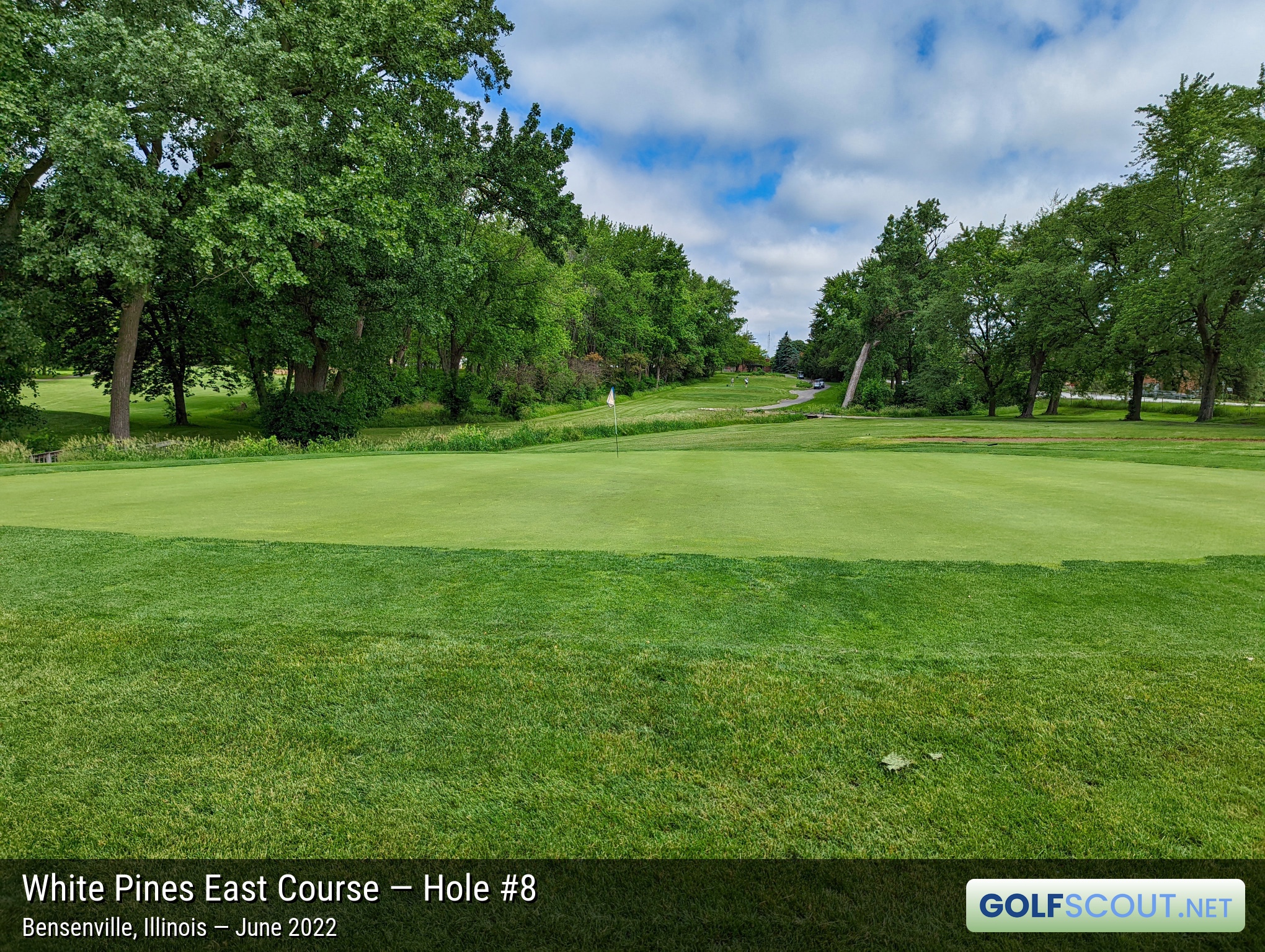 Photo of hole #8 at White Pines East Course in Bensenville, Illinois. 