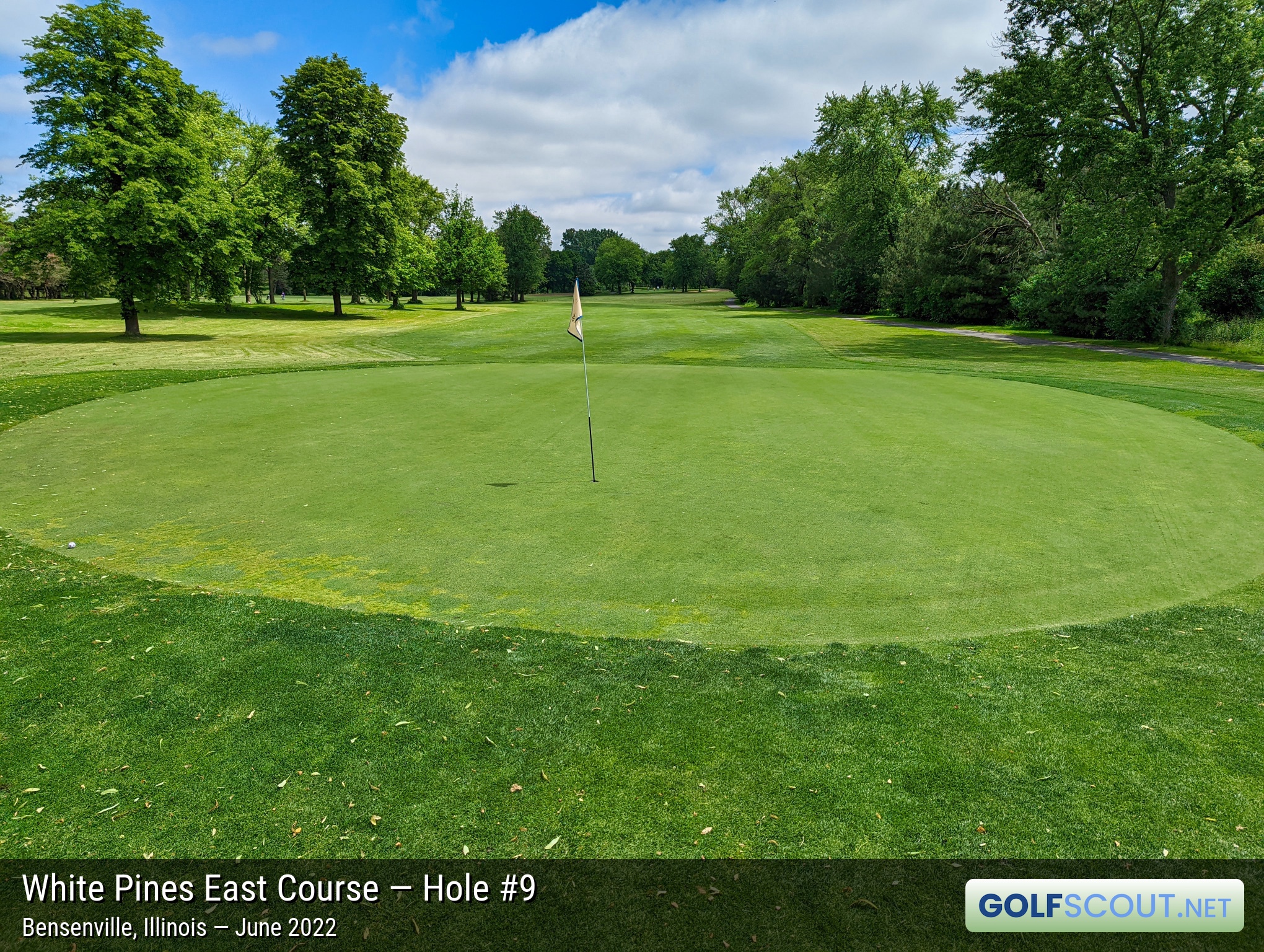 Photo of hole #9 at White Pines East Course in Bensenville, Illinois. 