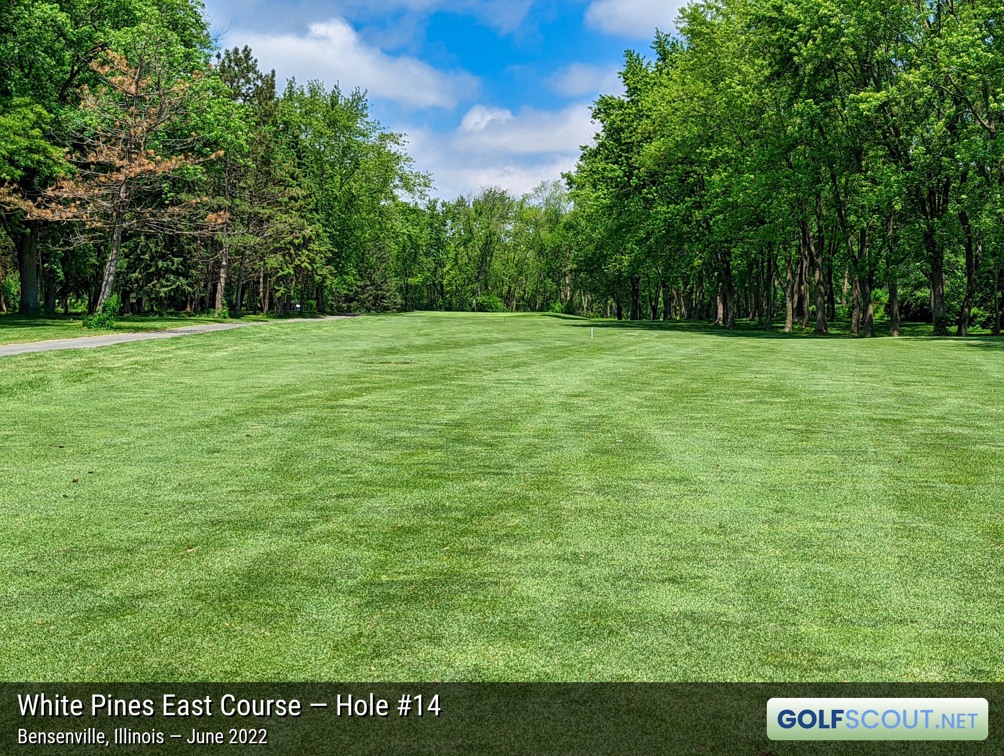 Photo of hole #14 at White Pines East Course in Bensenville, Illinois. 
